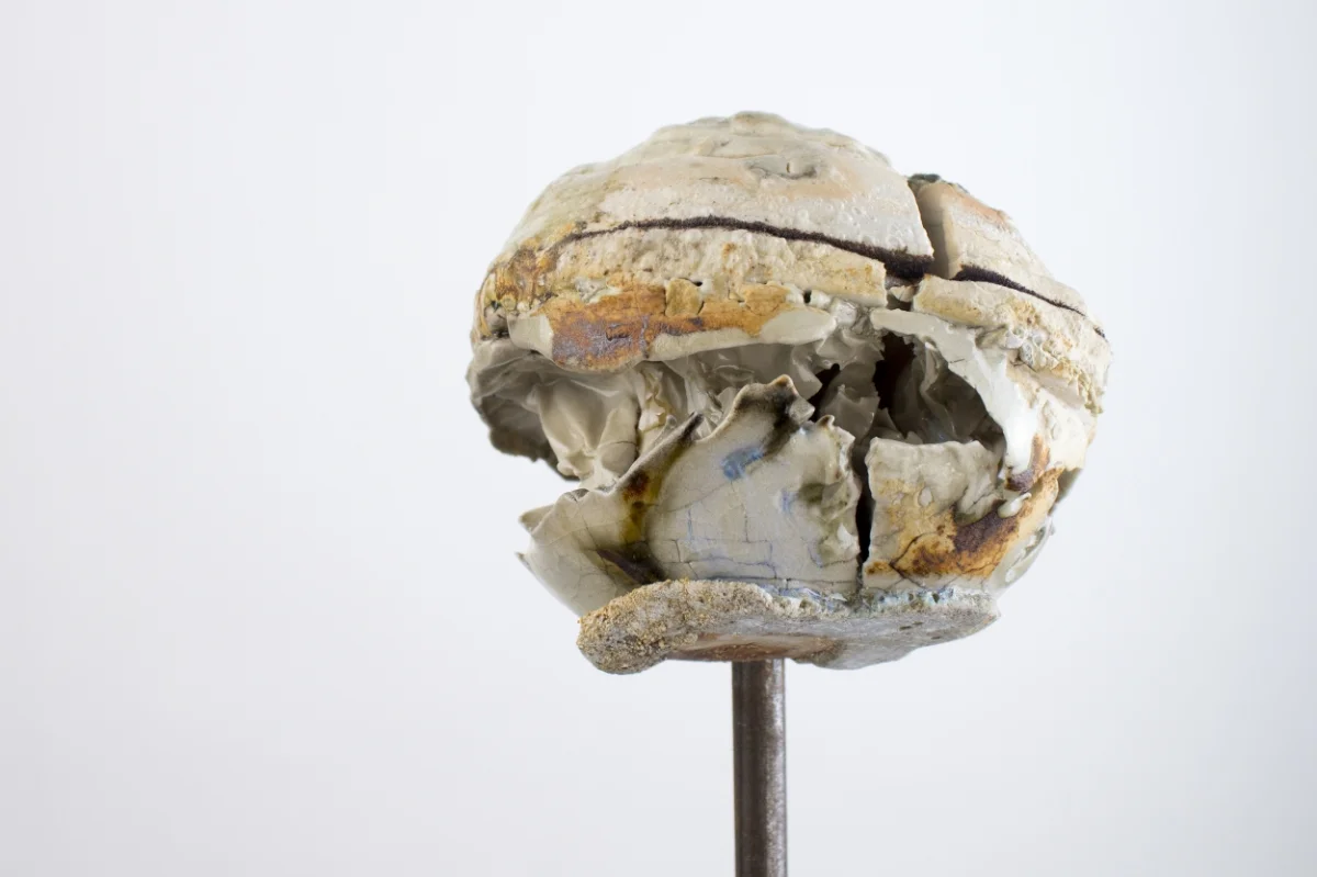 orb no. 16