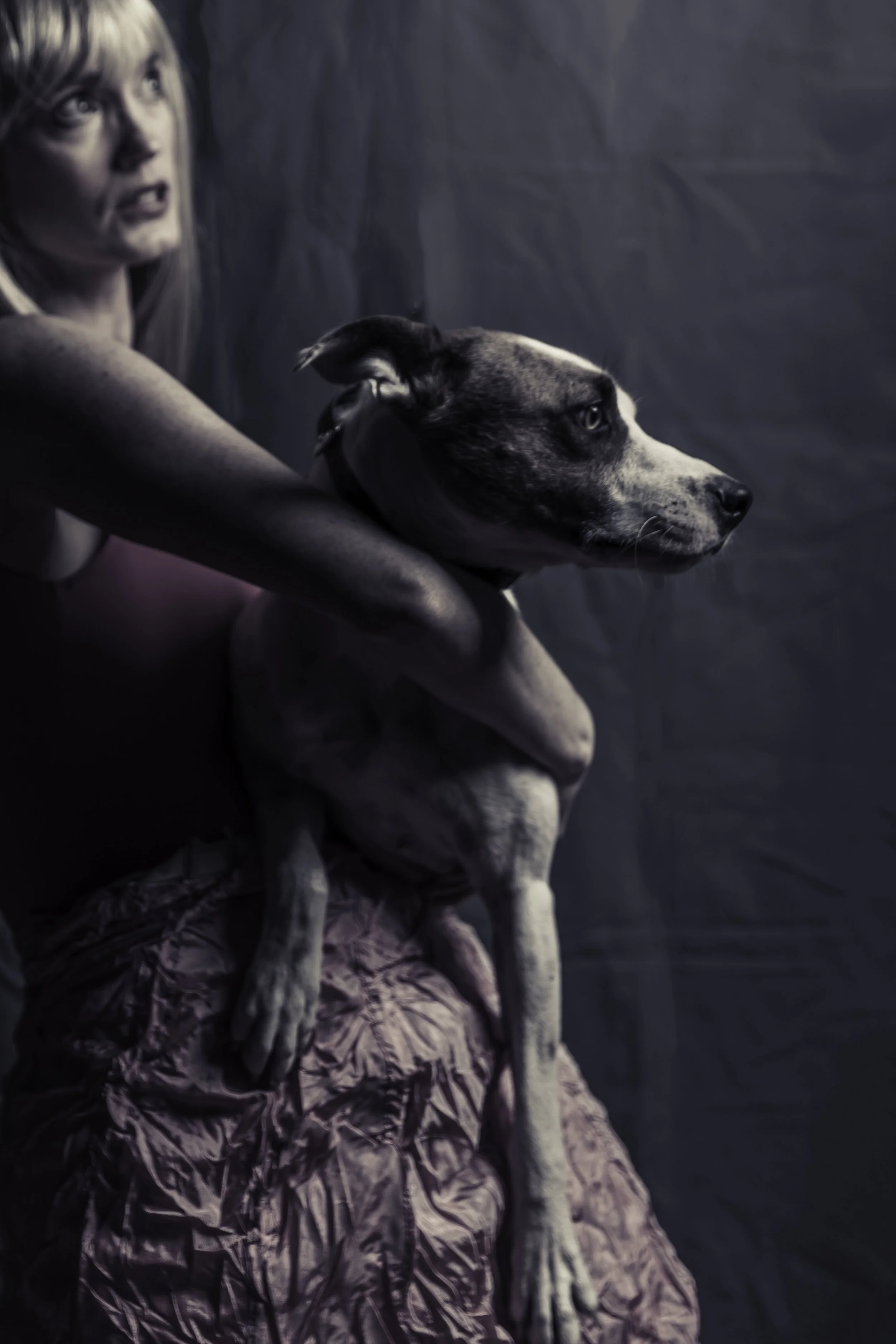 Uma Rescue dog