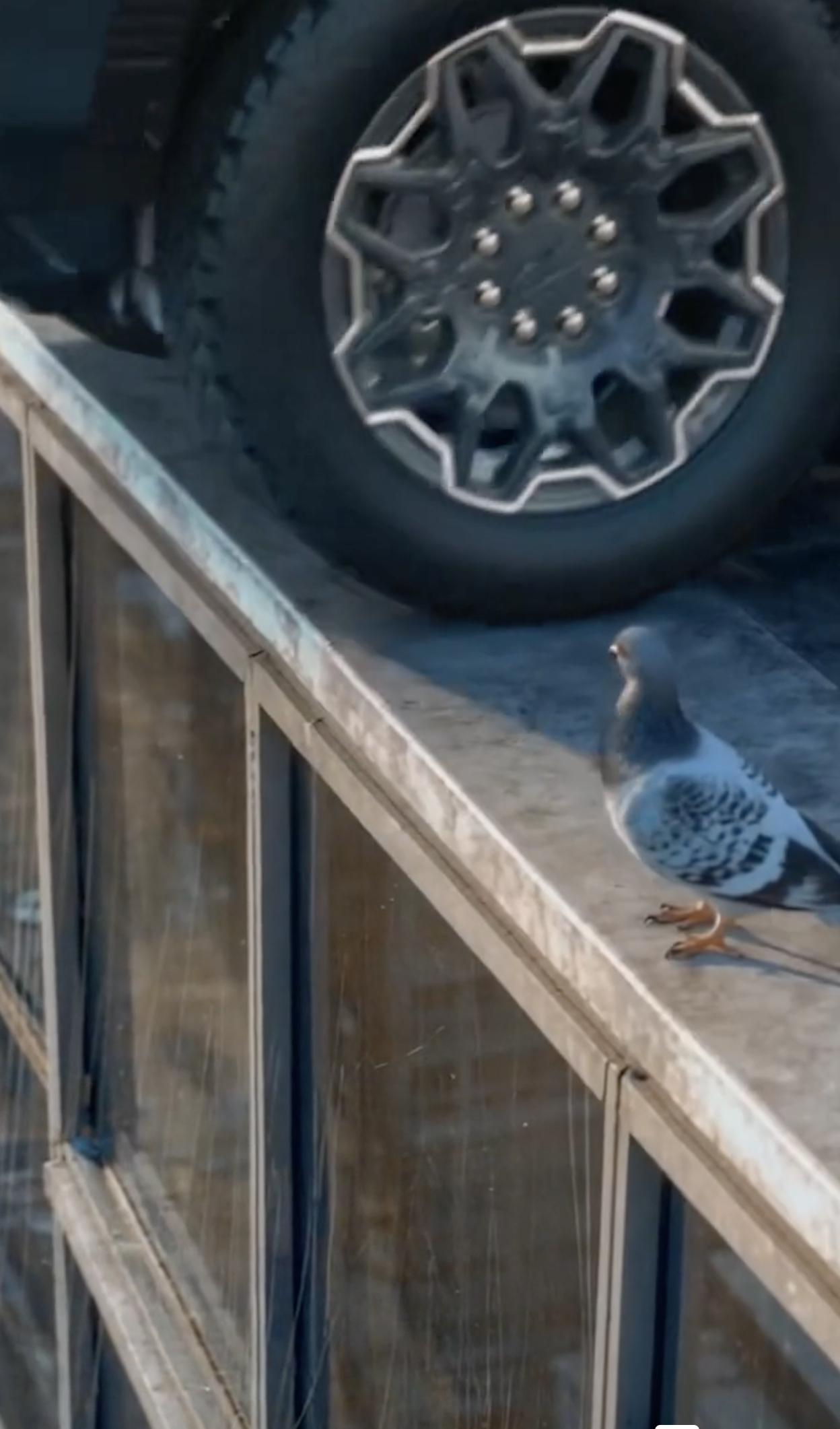 Screenshot 2026-01-31 at 3.36.44 PM.png