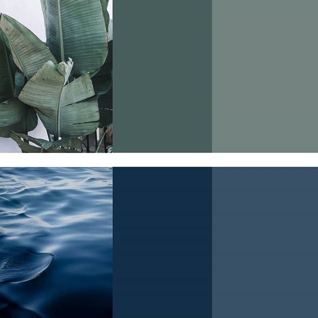 colour palette 4/4 _ leaf & deep blue
.
.
.
.
.
.
#colourpalette #inspiredbynature #ethicallymadewithlove #ethicaldesign #naturalcolor #nature #smallbusiness #myri_studio #myriamrigaud #smallbiz #nomaddesigner #nomaddesign #womenentrepreneur #girlboss #designermaker #shecreates #custommade #locallymade #livinginasuitcase #travellingtheworld #ss19trends #slowlife #slowliving #wherewomencreate