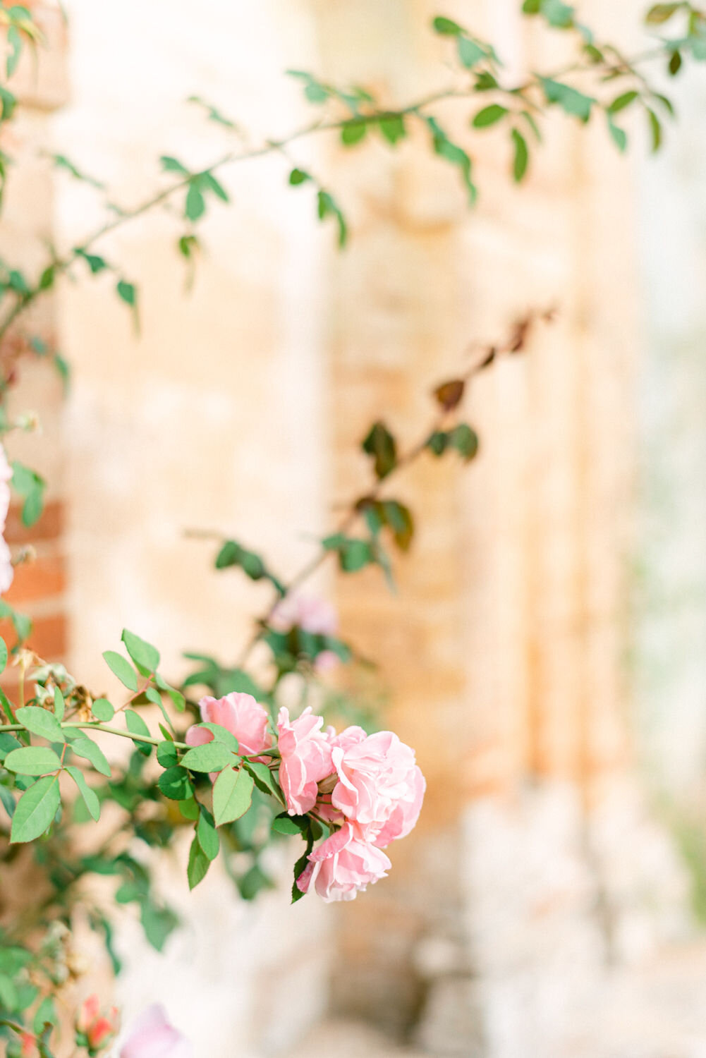 lace-and-luce-castello-di-celsa-12.jpg