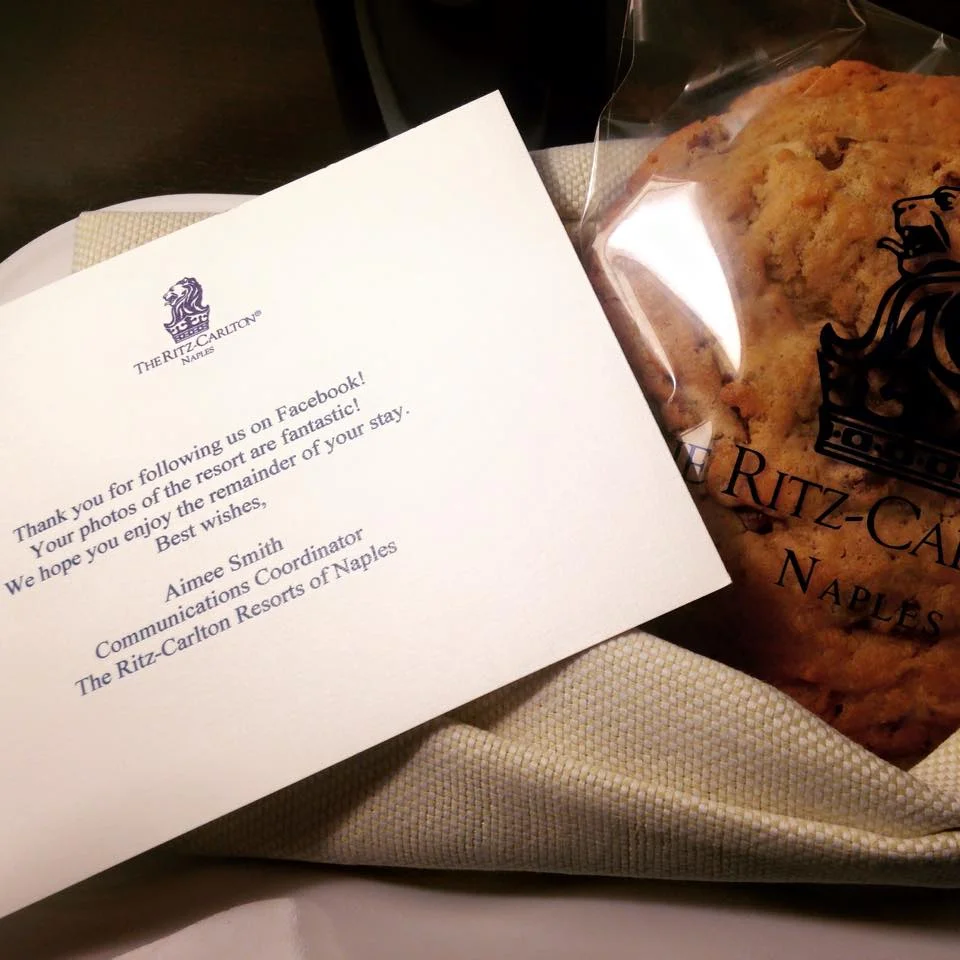 RitzCarlton Integrating Customer Service On and Offline — Elysium