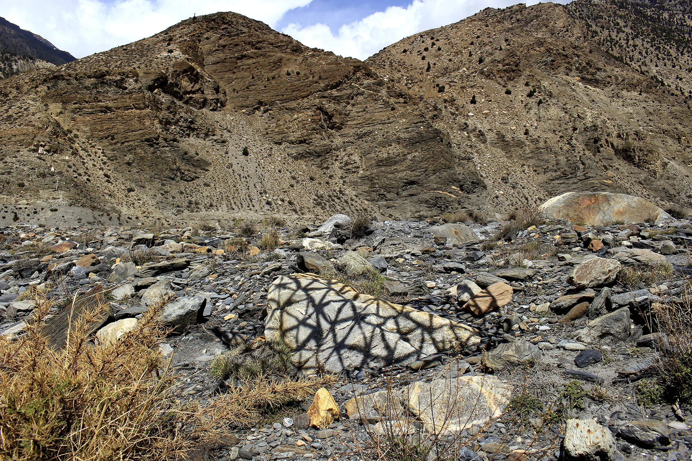 marpha light drawings cop777(25 of 67).jpg