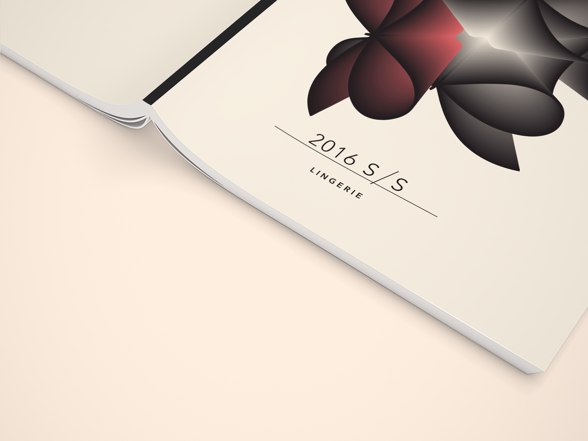 MAE_MAG_mockup2.jpg