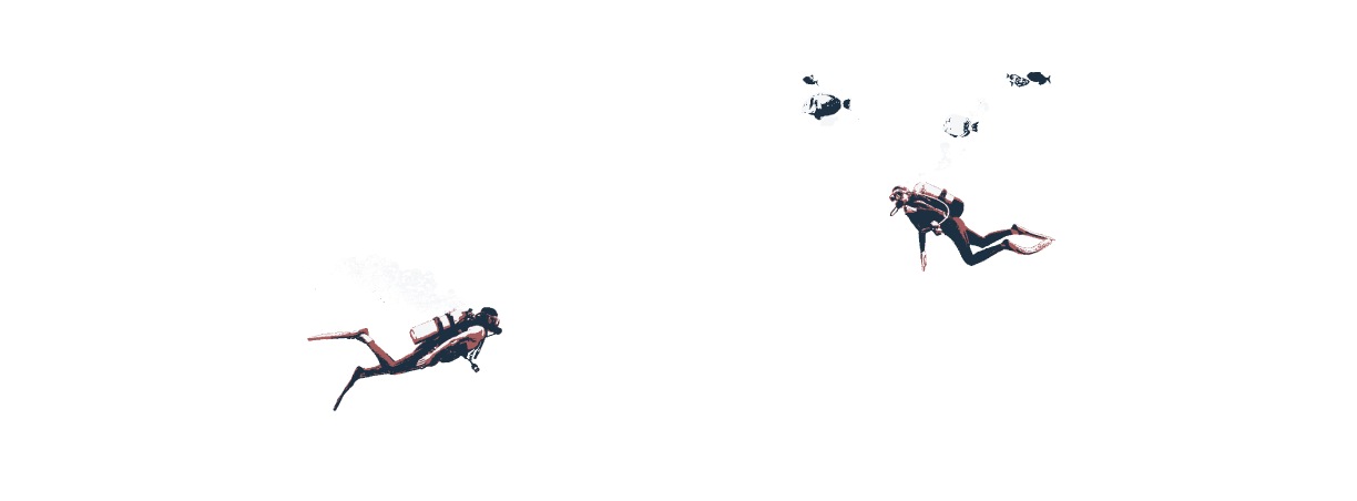 sonoma-2.png