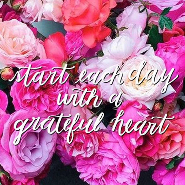 I hope everyone had the most relaxing holiday season and feeling prepared to tackle our first week back at work in 2017. In thinking about my New Year's resolutions, this one seemed most important. We can never be too thankful ๐