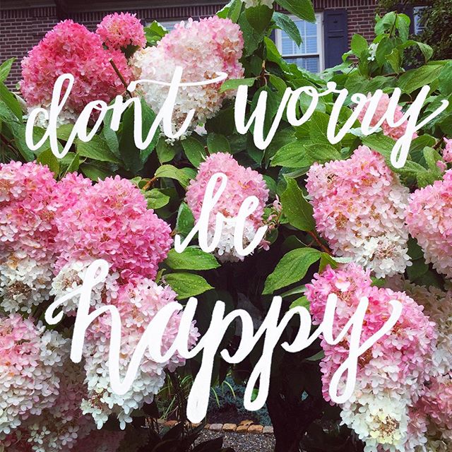 Sunday inspo โจ
#lettering #calligraphy #letteringart #ombre #hydrangeas #sunday #inspiration #pink #brushlettering #brushcalligraphy #tombow