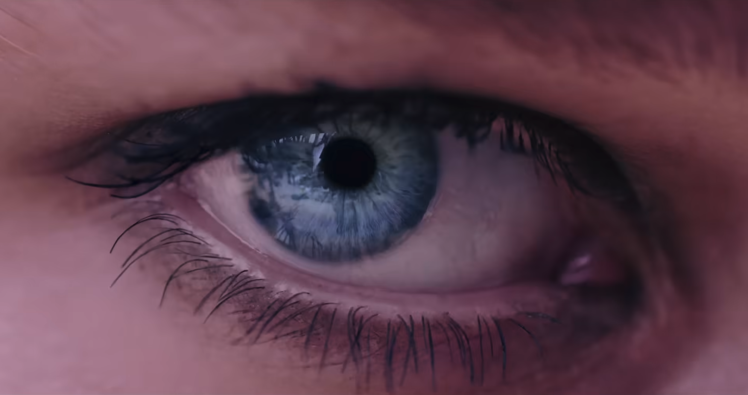 Calvin Klein - Euphoria