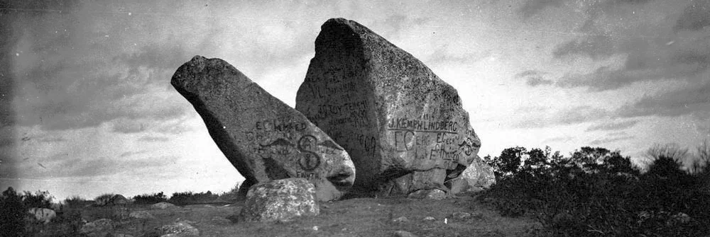 whales_jaw.jpg
