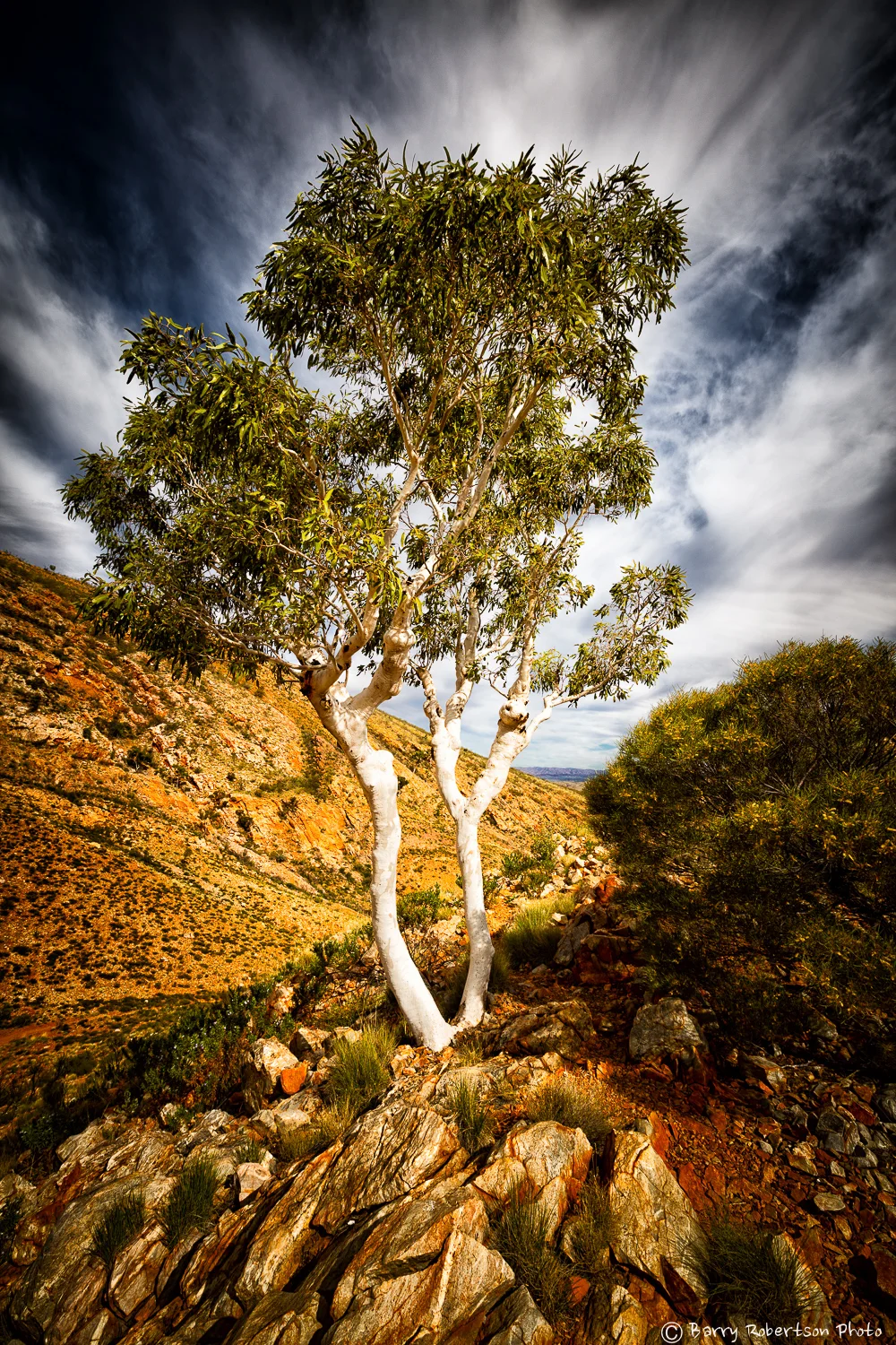 _M0A5889-Edit.jpg