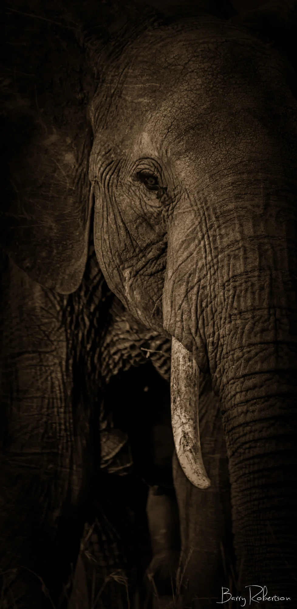 _17R4143-Edit-Edit.jpg