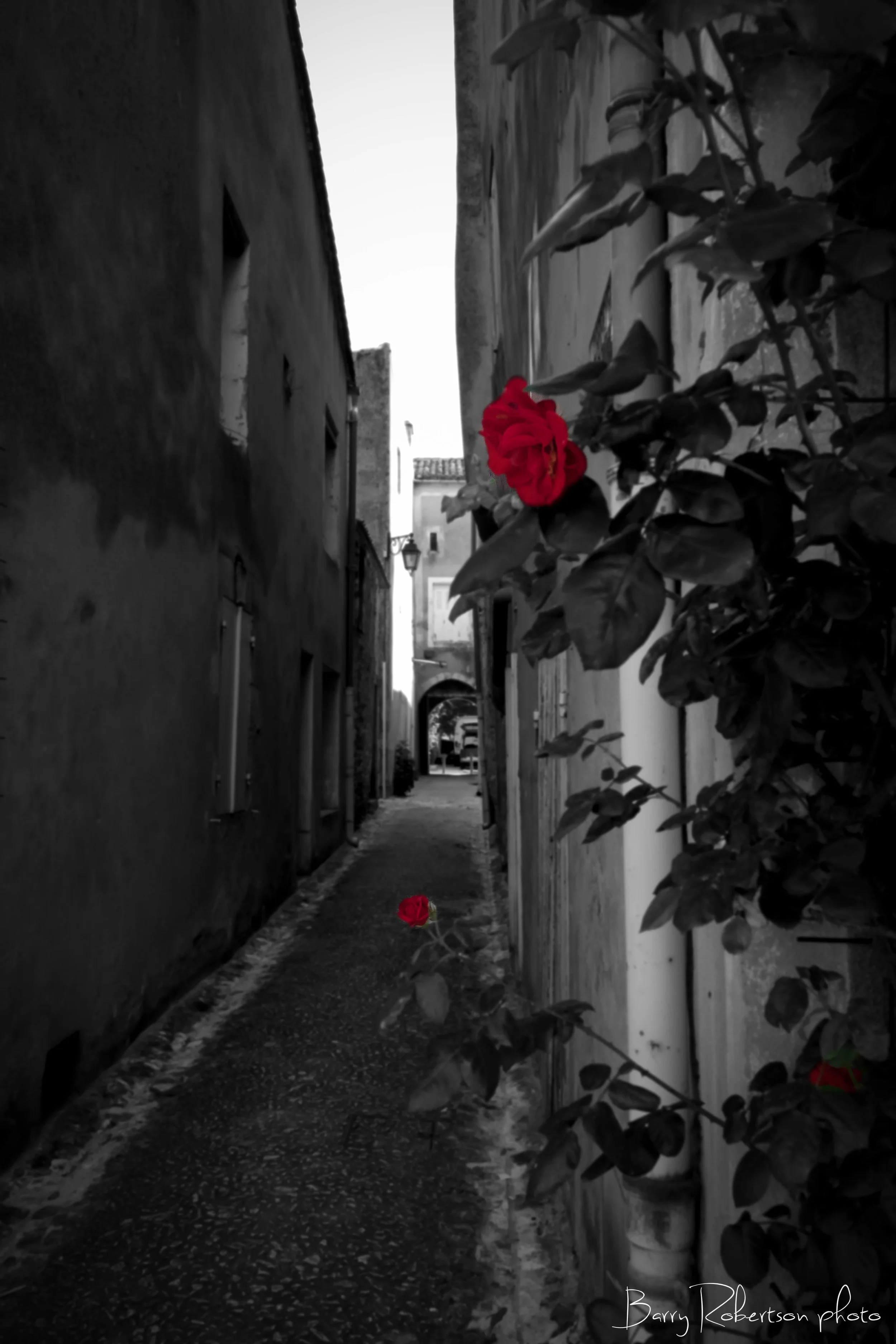 _DSF0430-Edit-2-Edit.jpg