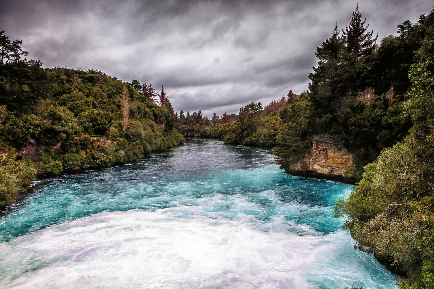 _57A2869-Edit.jpg