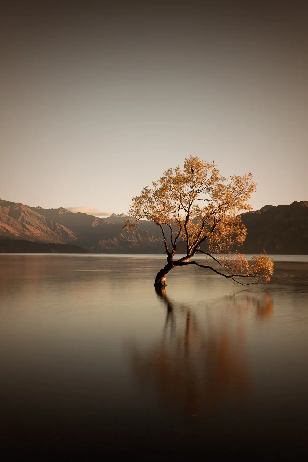 _57A2477-Edit.jpg