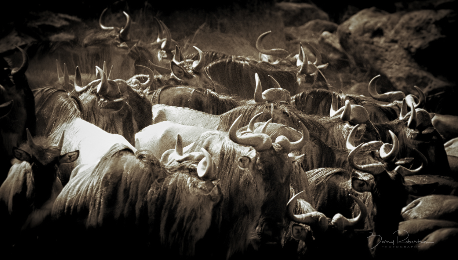 _C7I4270-Edit_edit.jpg