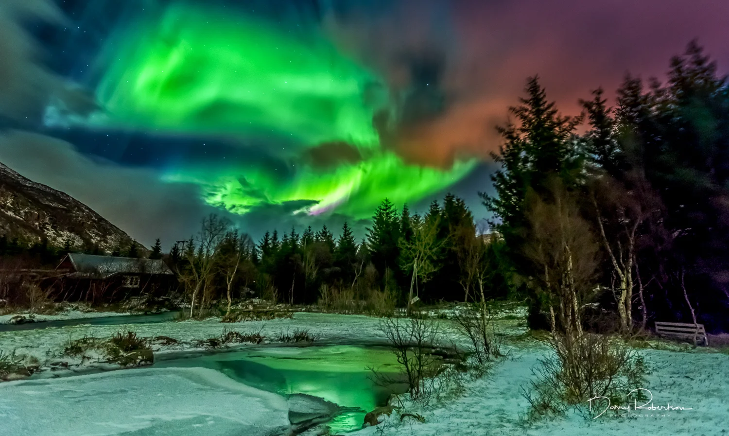_57A5856-Edit-2.jpg