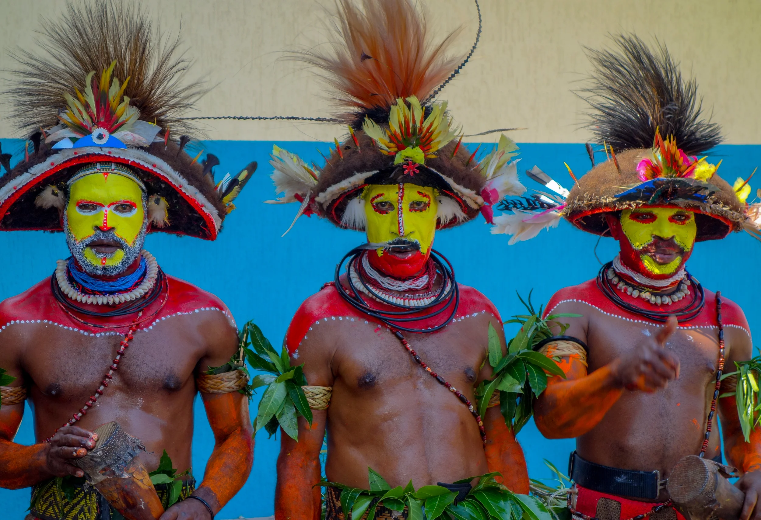 New Guinea Highlands