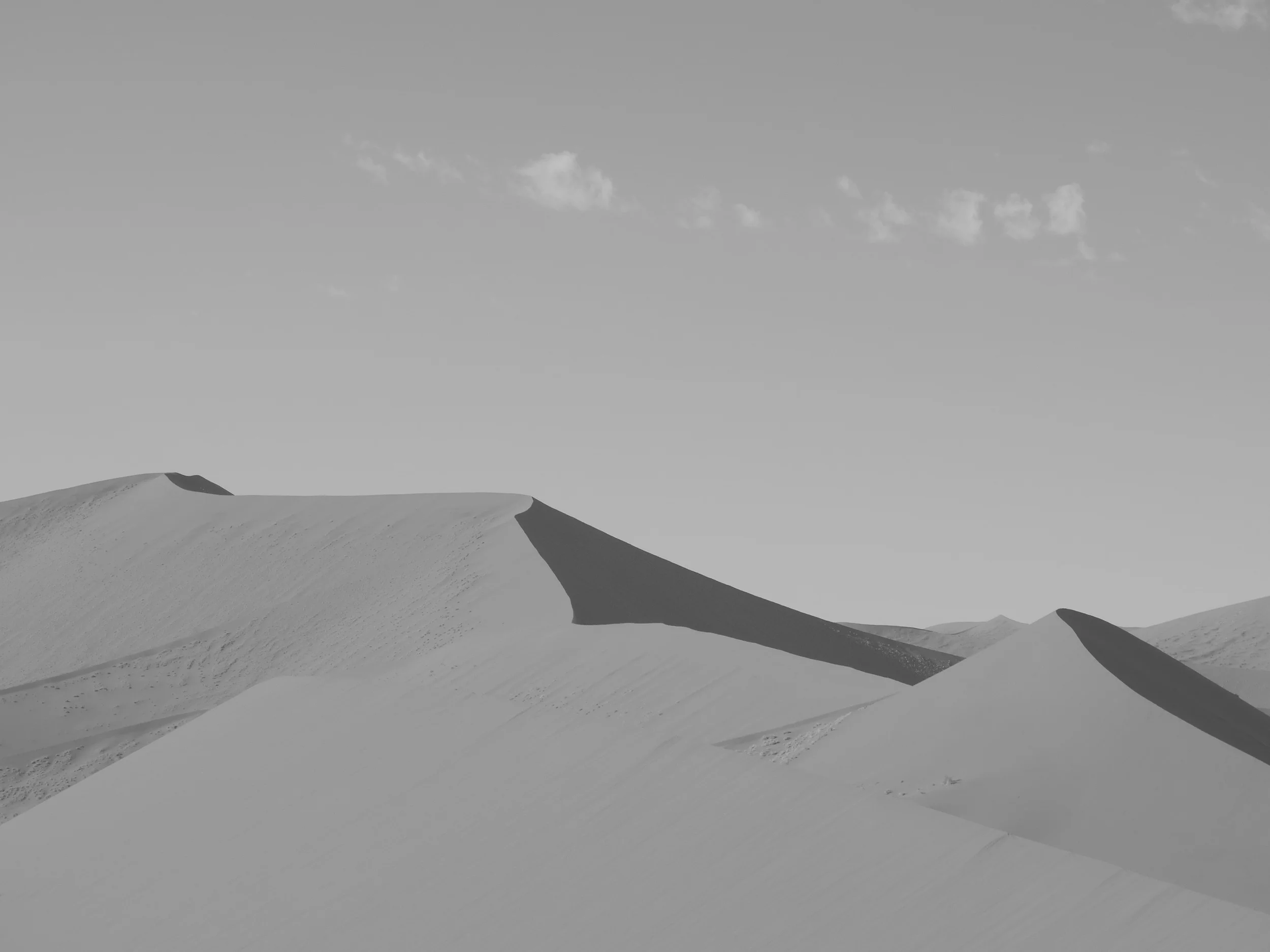 Where There Are no Beaten Tracks BW.jpg