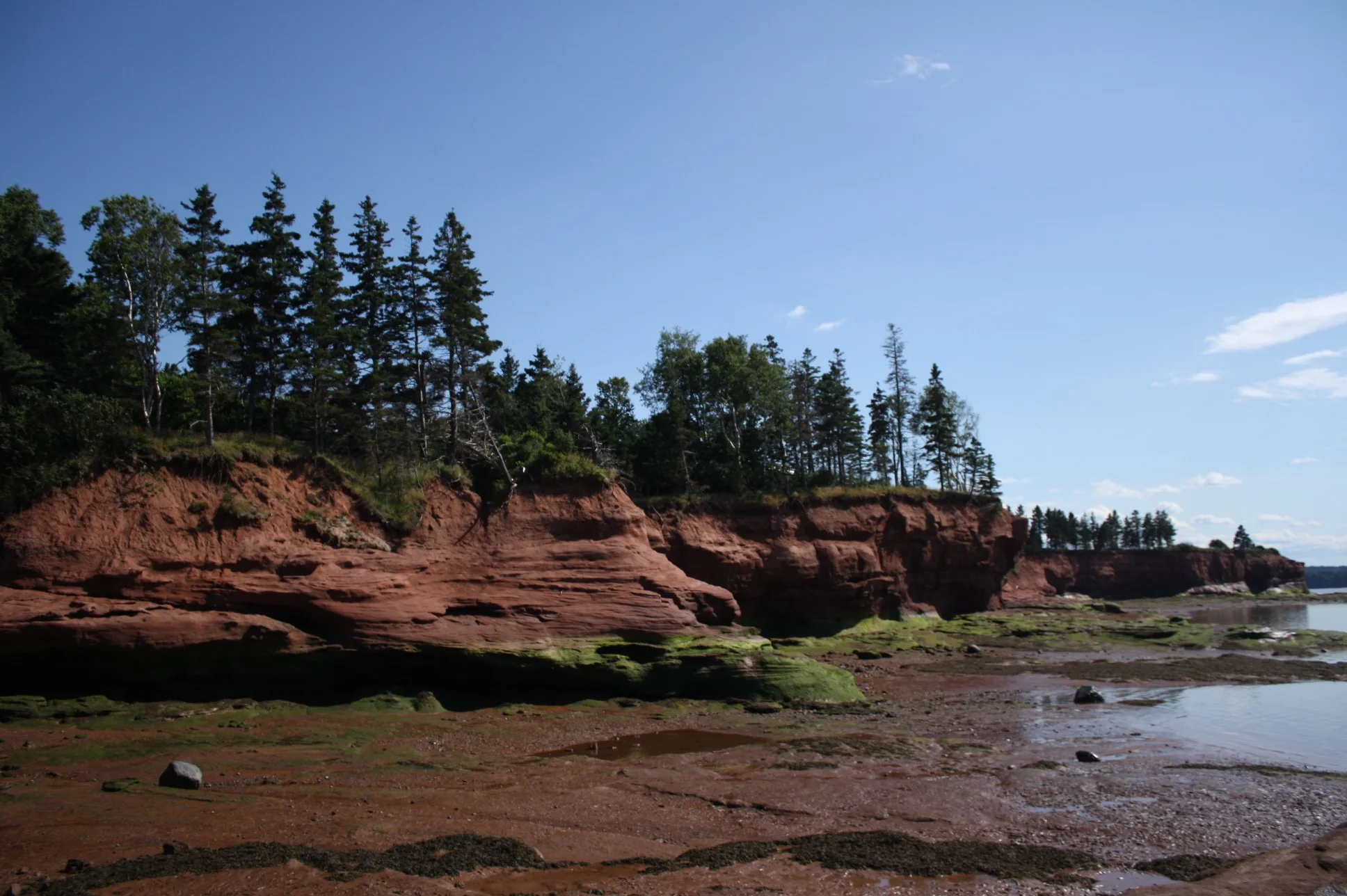 Burntcoat Head Park