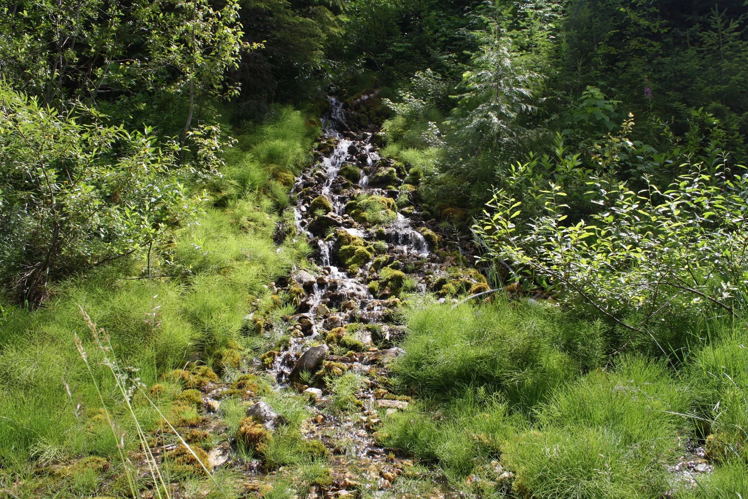 Johnson Lake, Thompson-Nicola