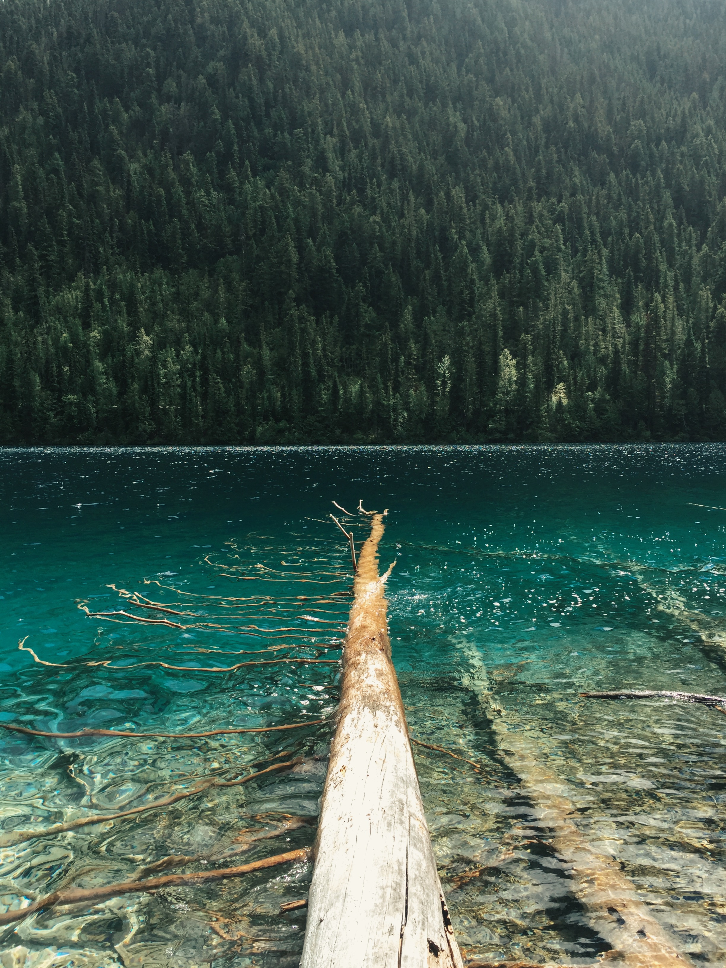 Johnson Lake Resort, Thompson-Nicola
