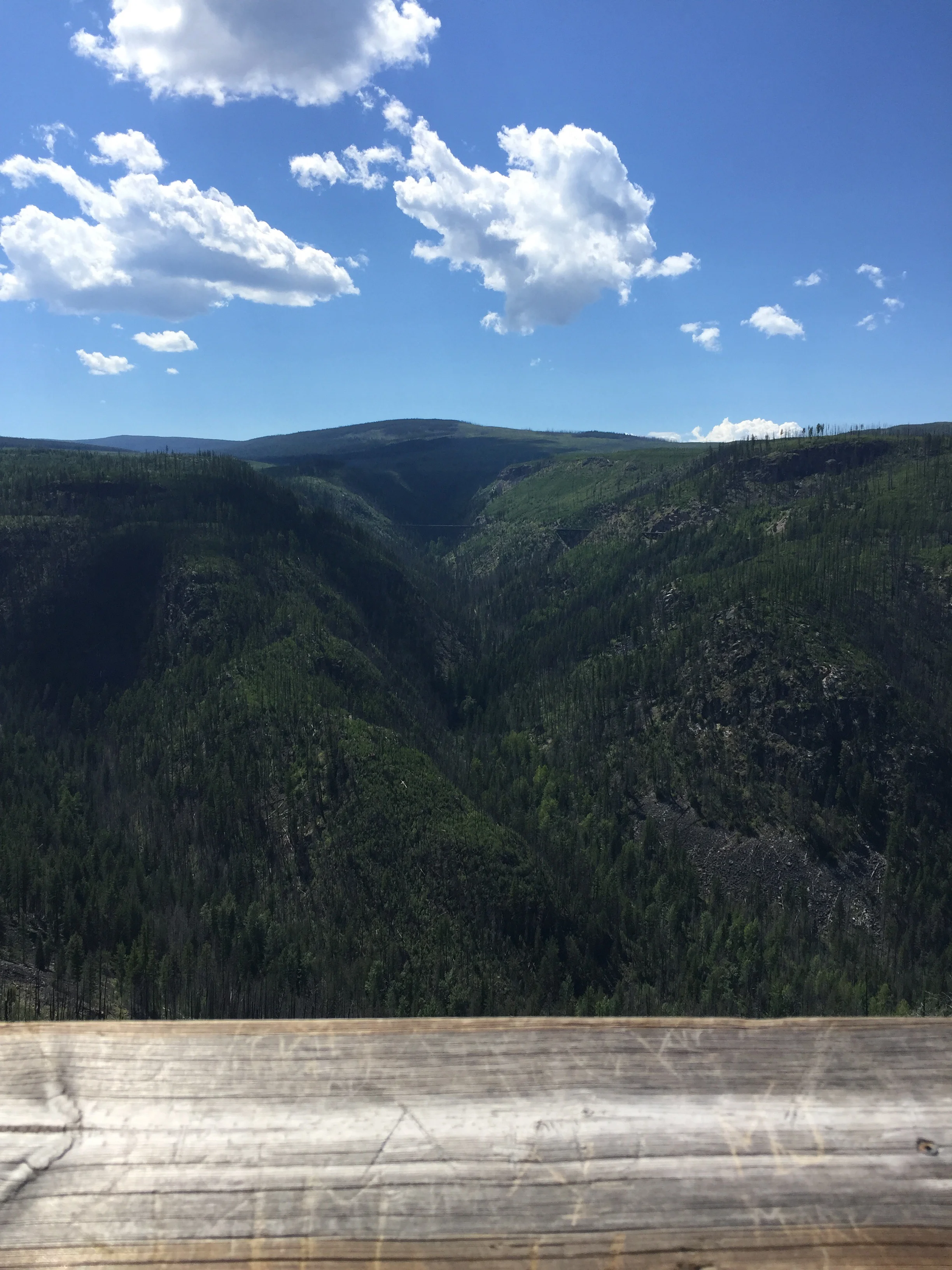 Myra/ Kettle Valley Trestle Trail