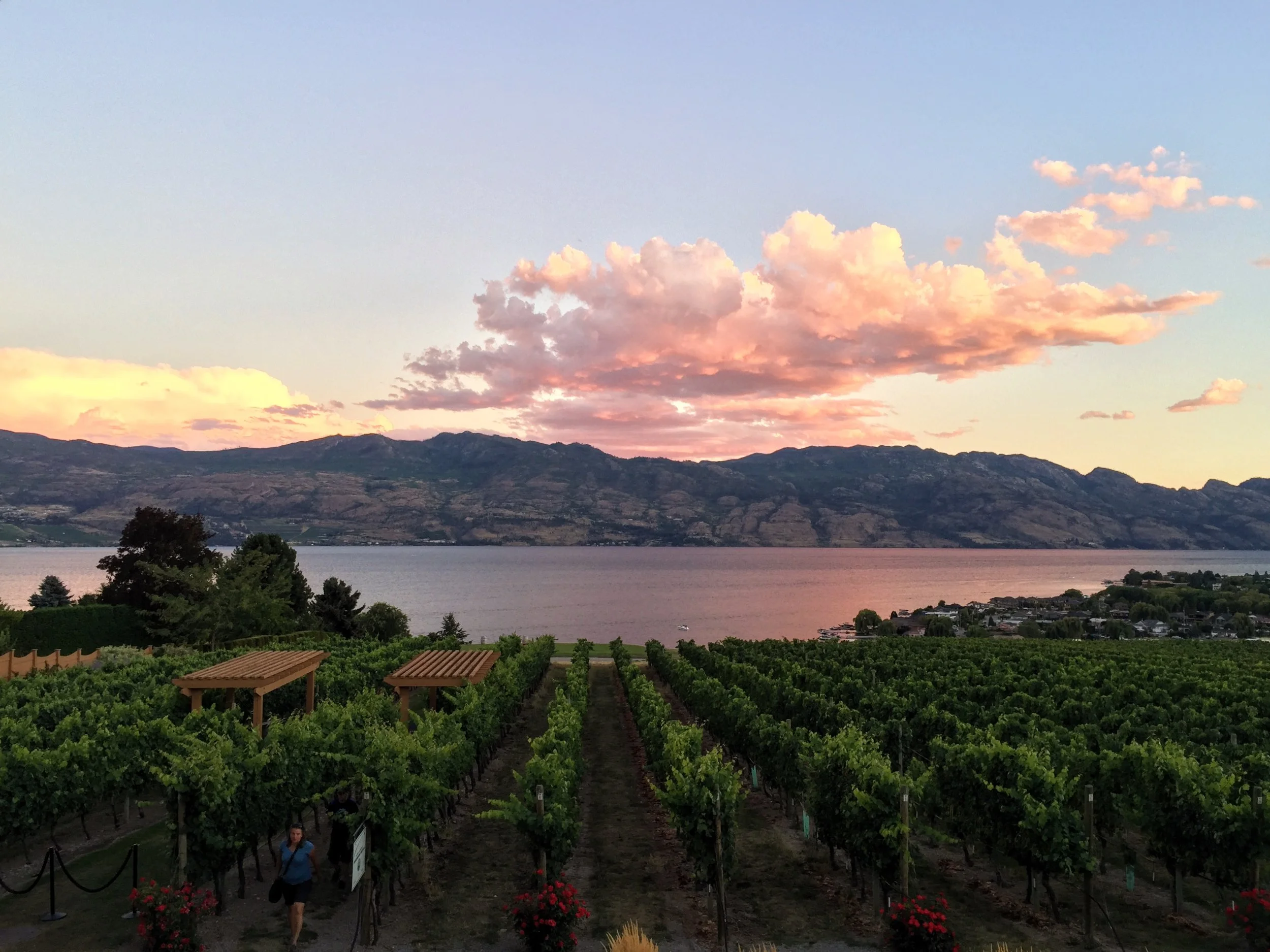 Quails' Gate Winery, Okanagan Valley, Kelowna