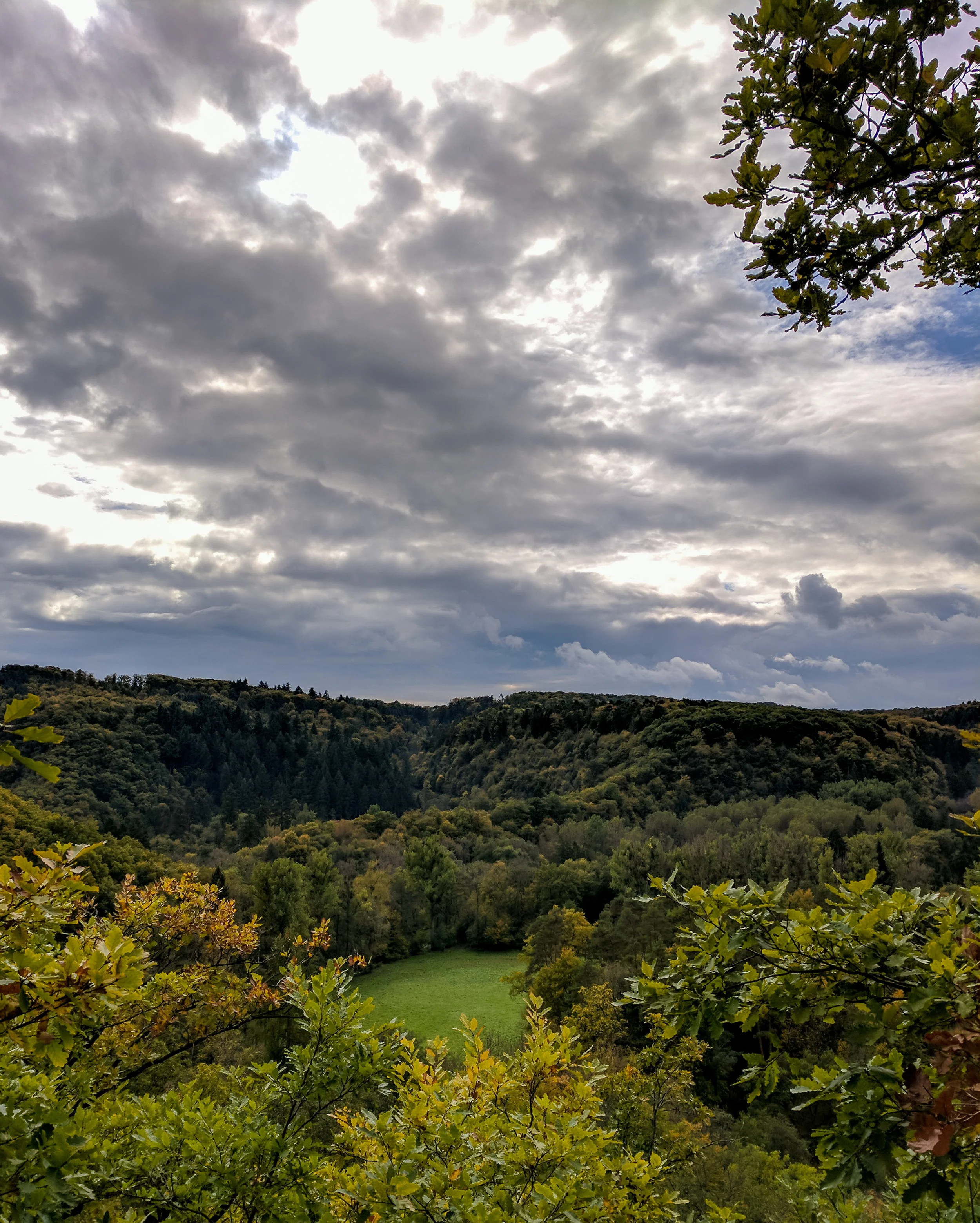 IMG_20171009_083630.jpg