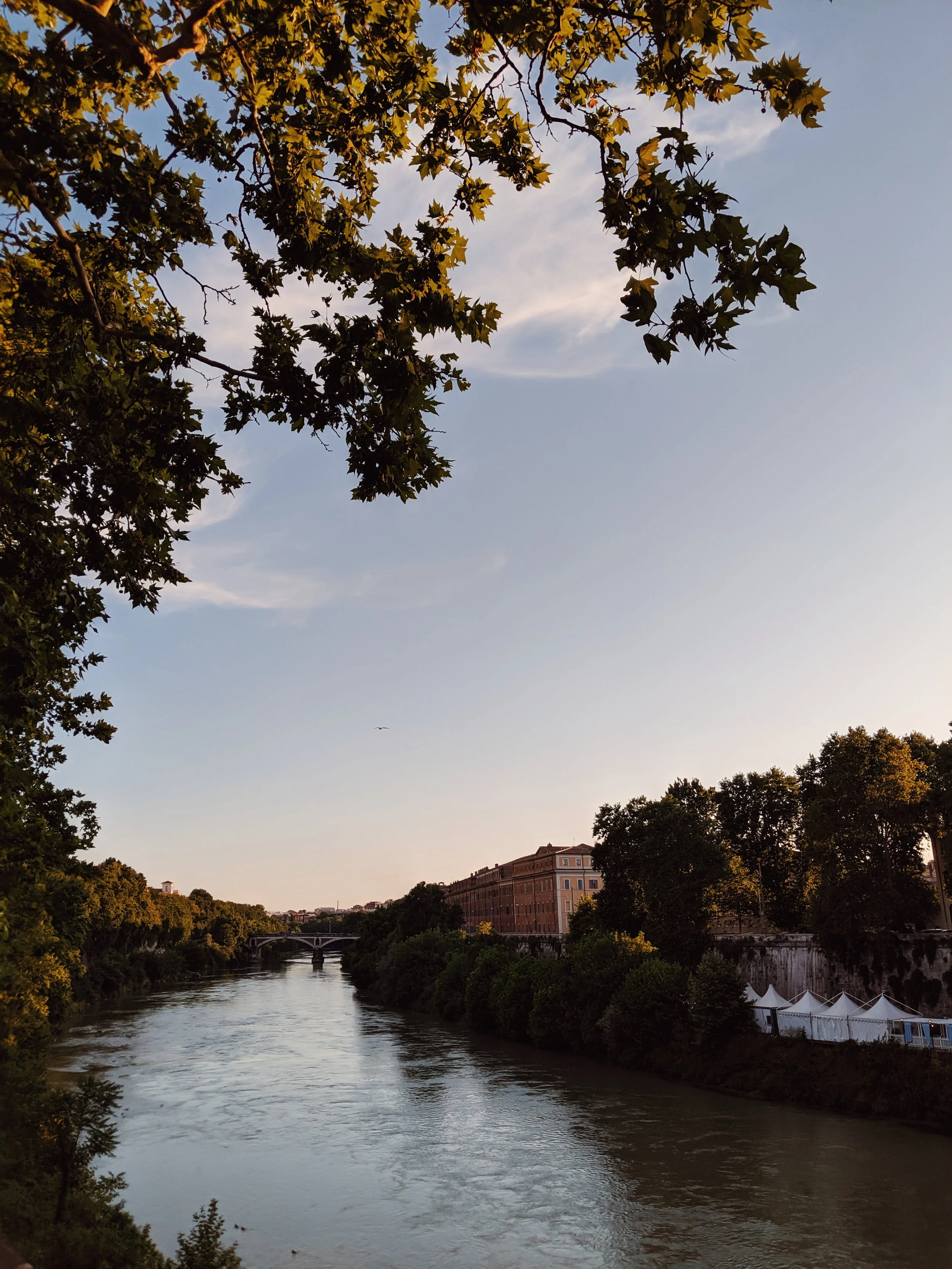 2019-07-22 12.37.11 2.jpg