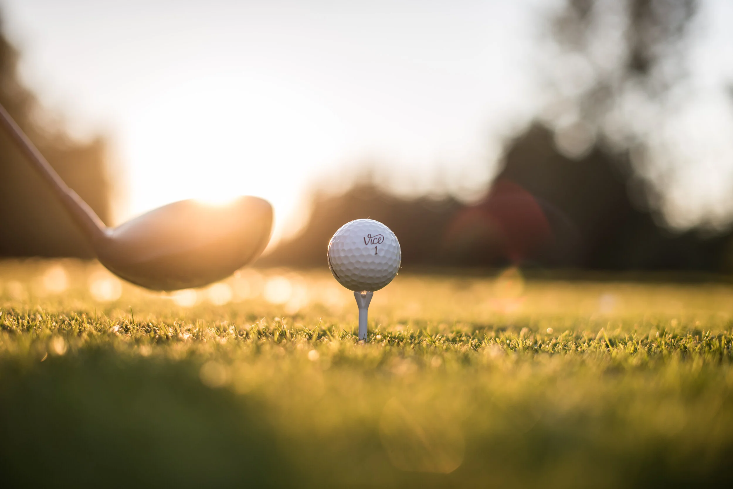 Vice Golf-4.jpg