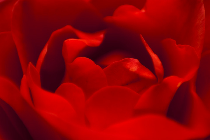 3982590282_fa93e1e467_o