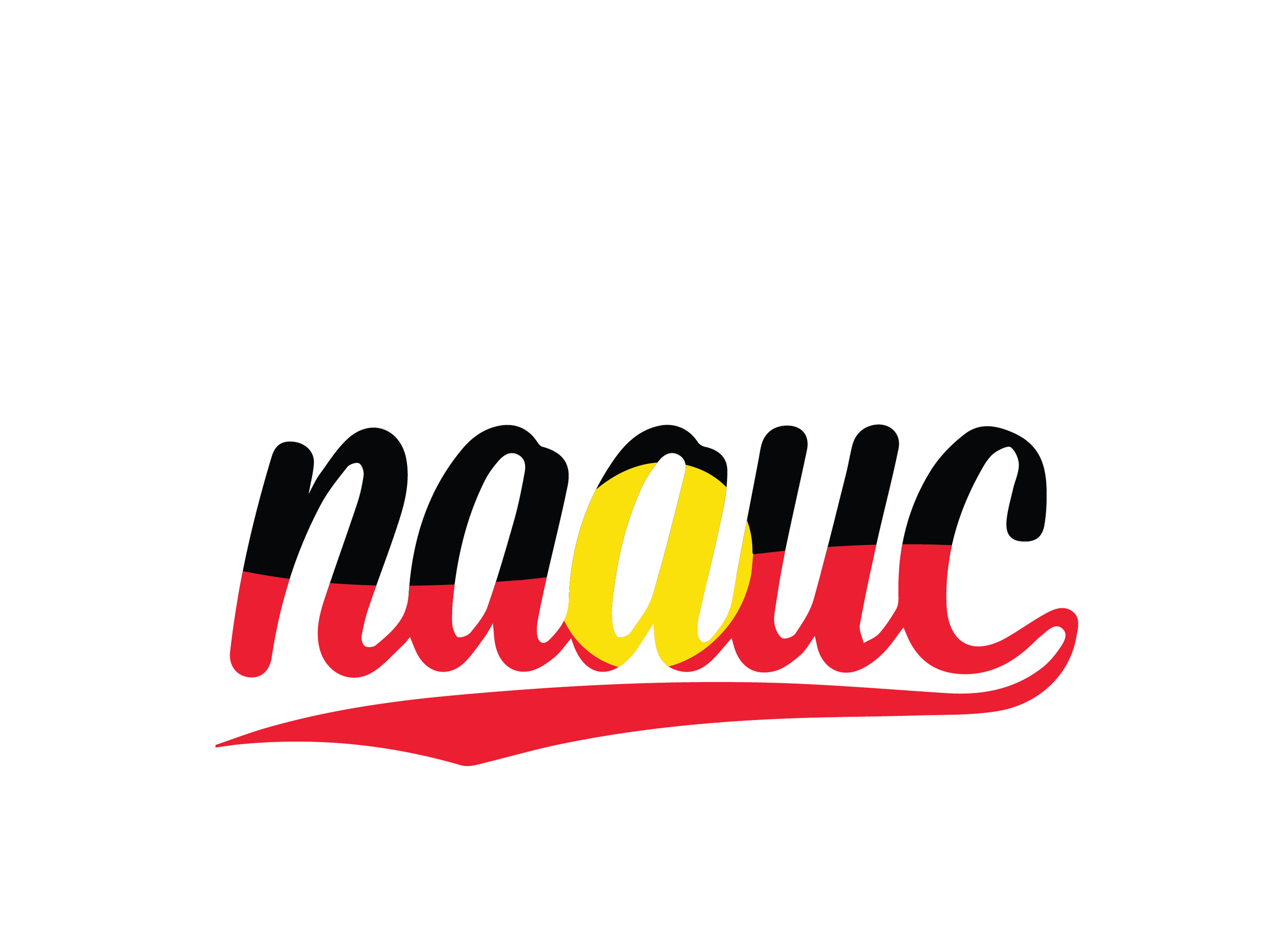 Indigenous Cultural Safety Audit 