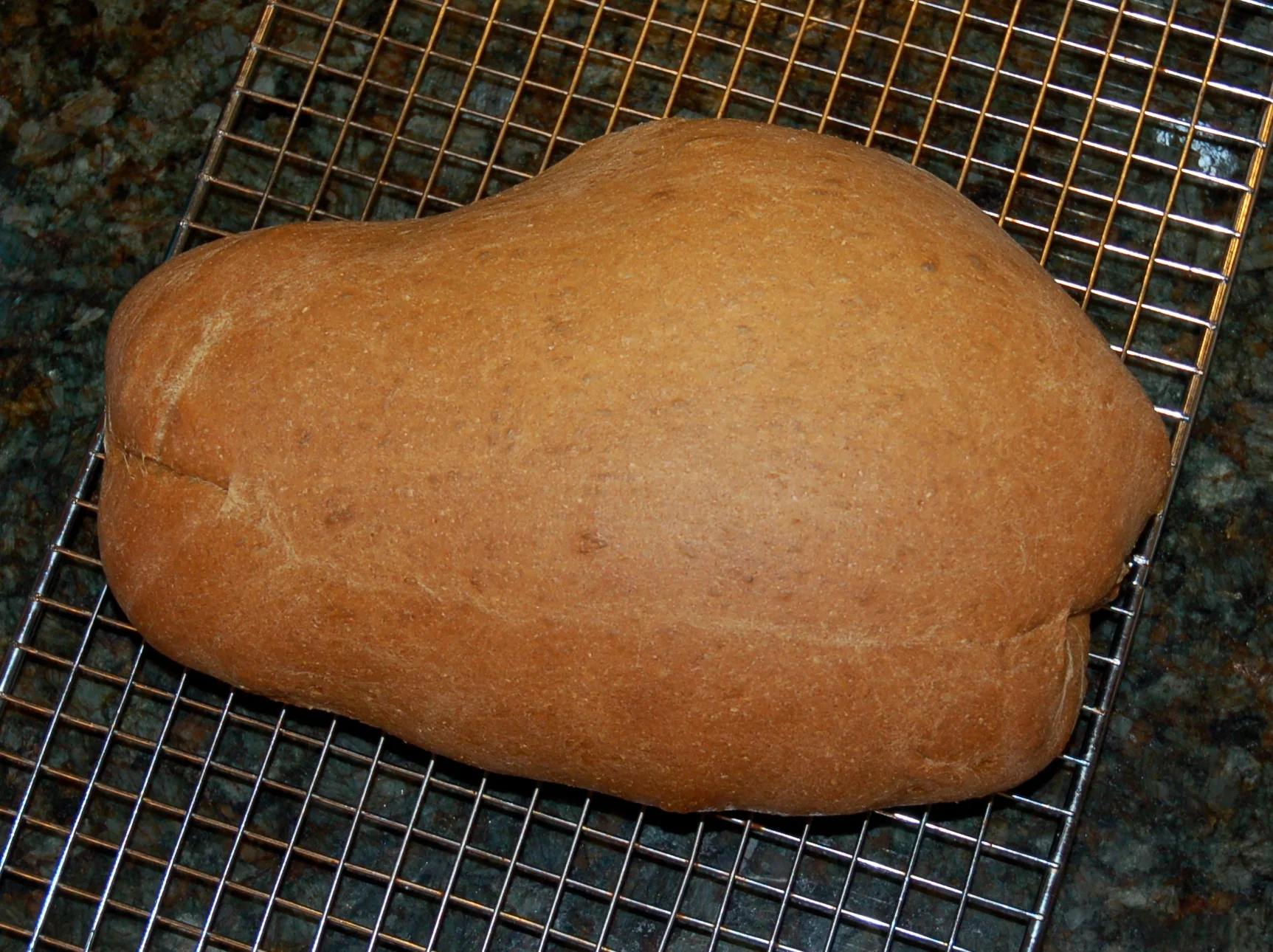 Whole Wheat Honey Molasses Bread
