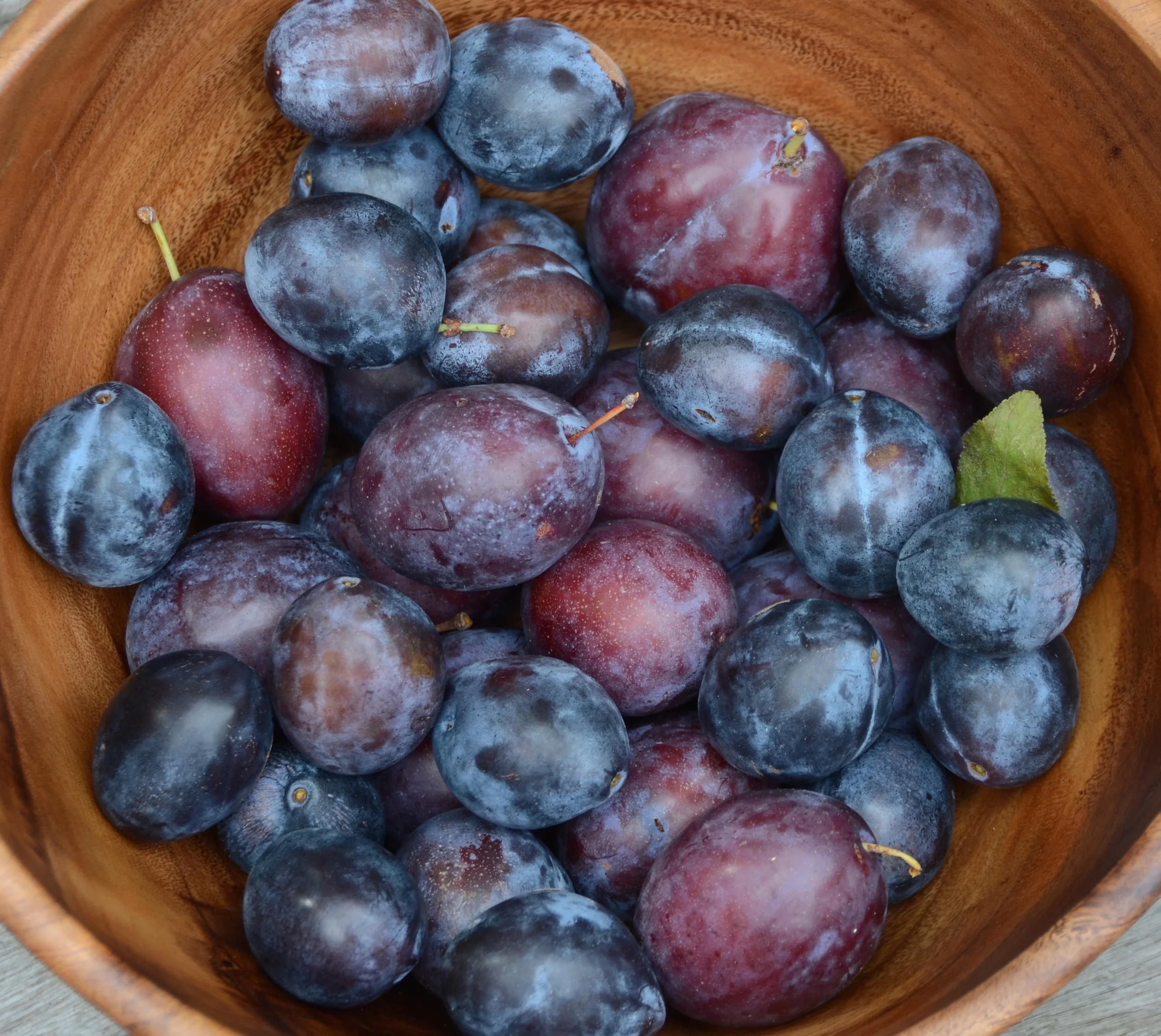 Italian prune and president plums