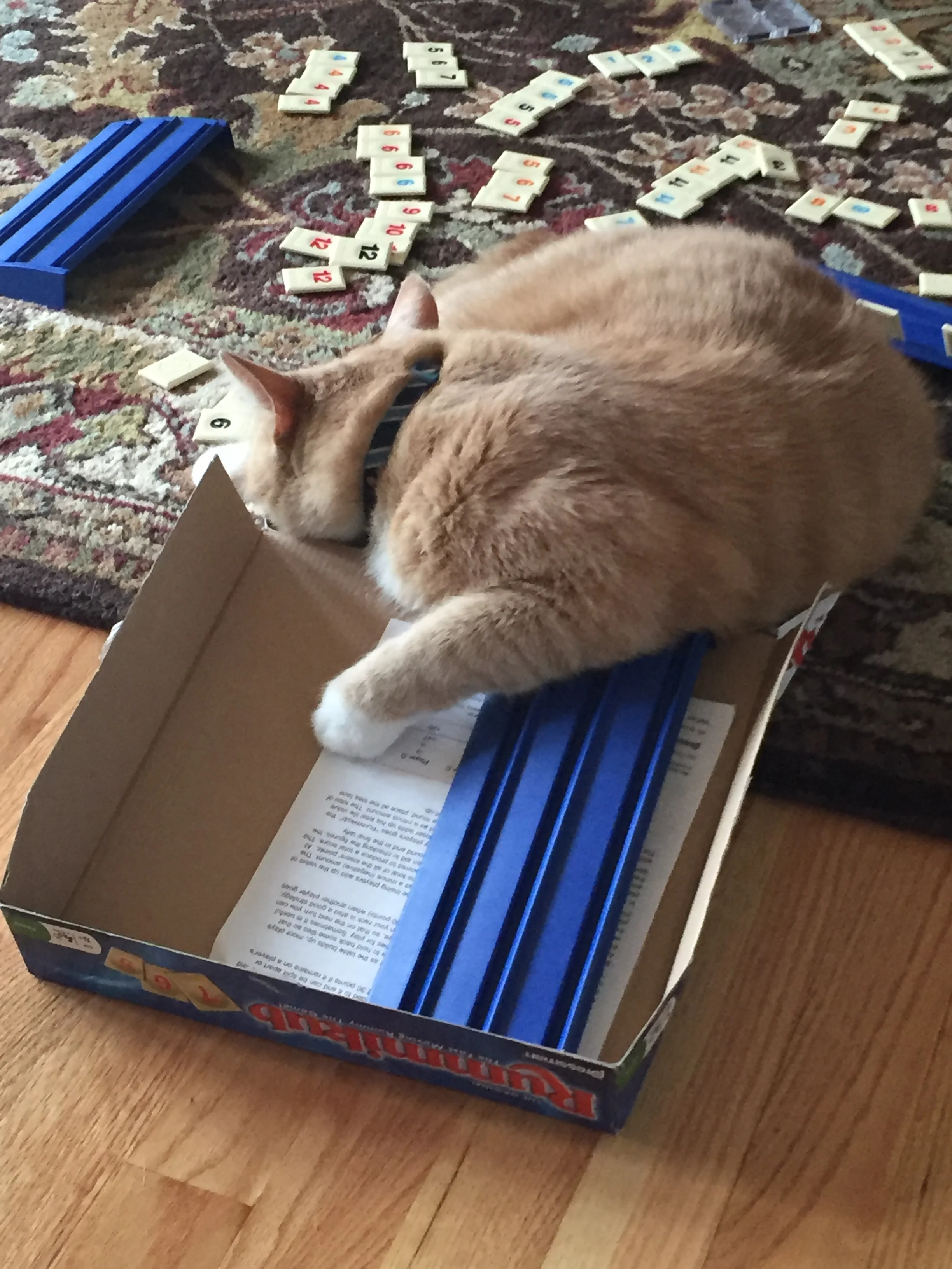 IMG_4780.jpg