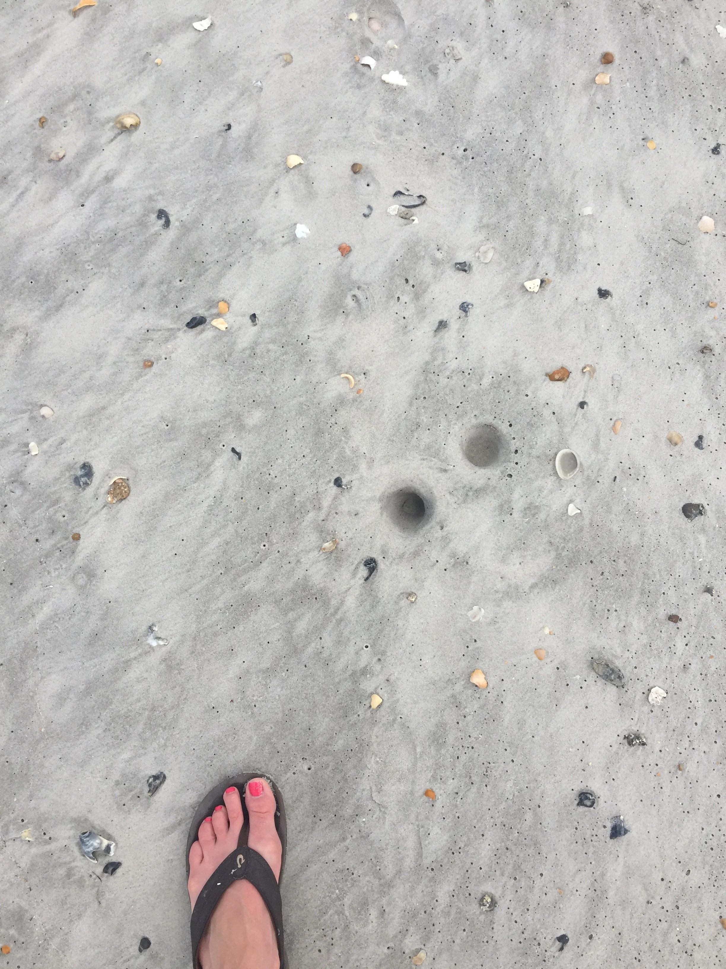 moon or beach?