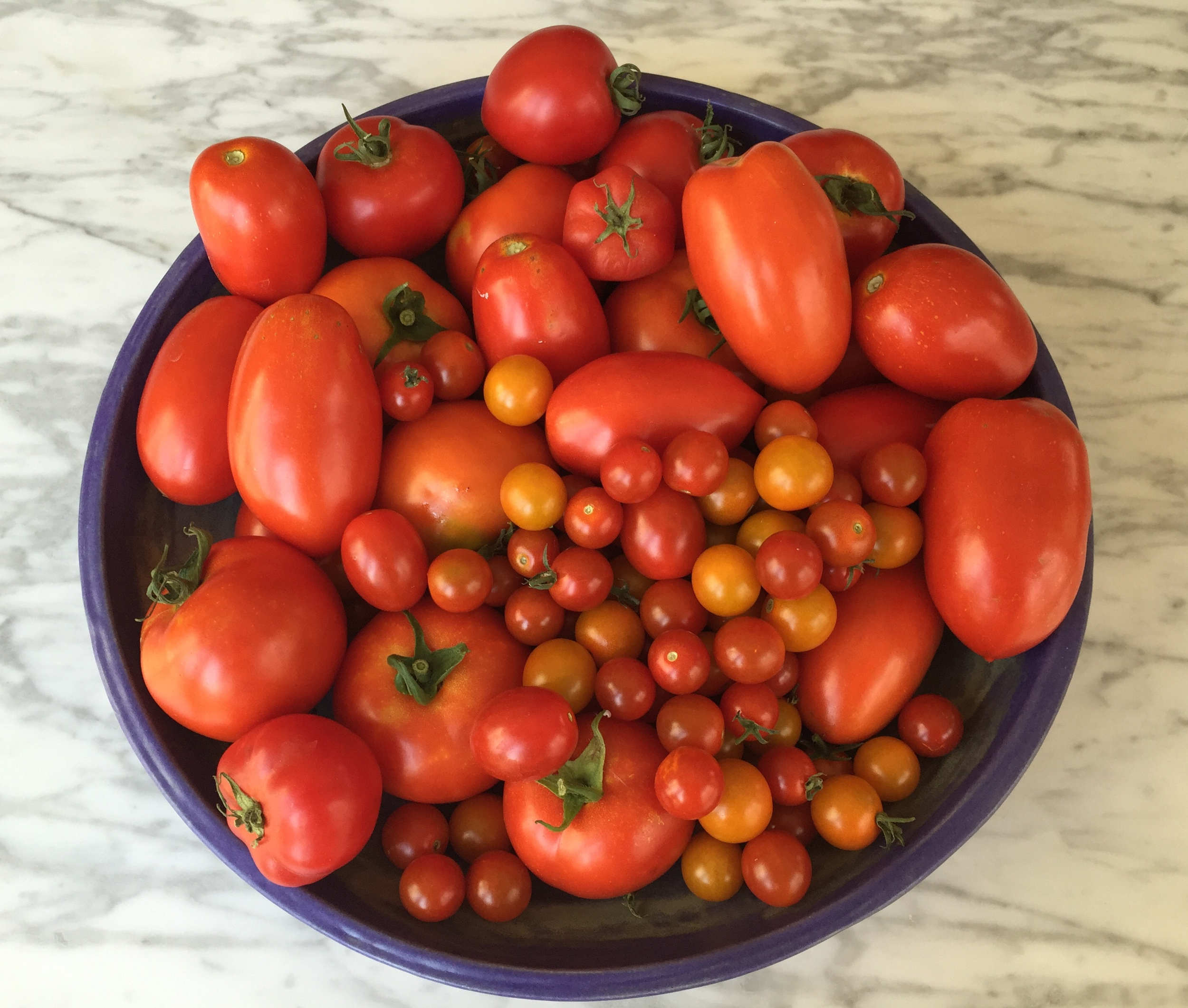 Whole bunch o' toms; cold tomato soup (bottom left); caprese salad (bottom right)