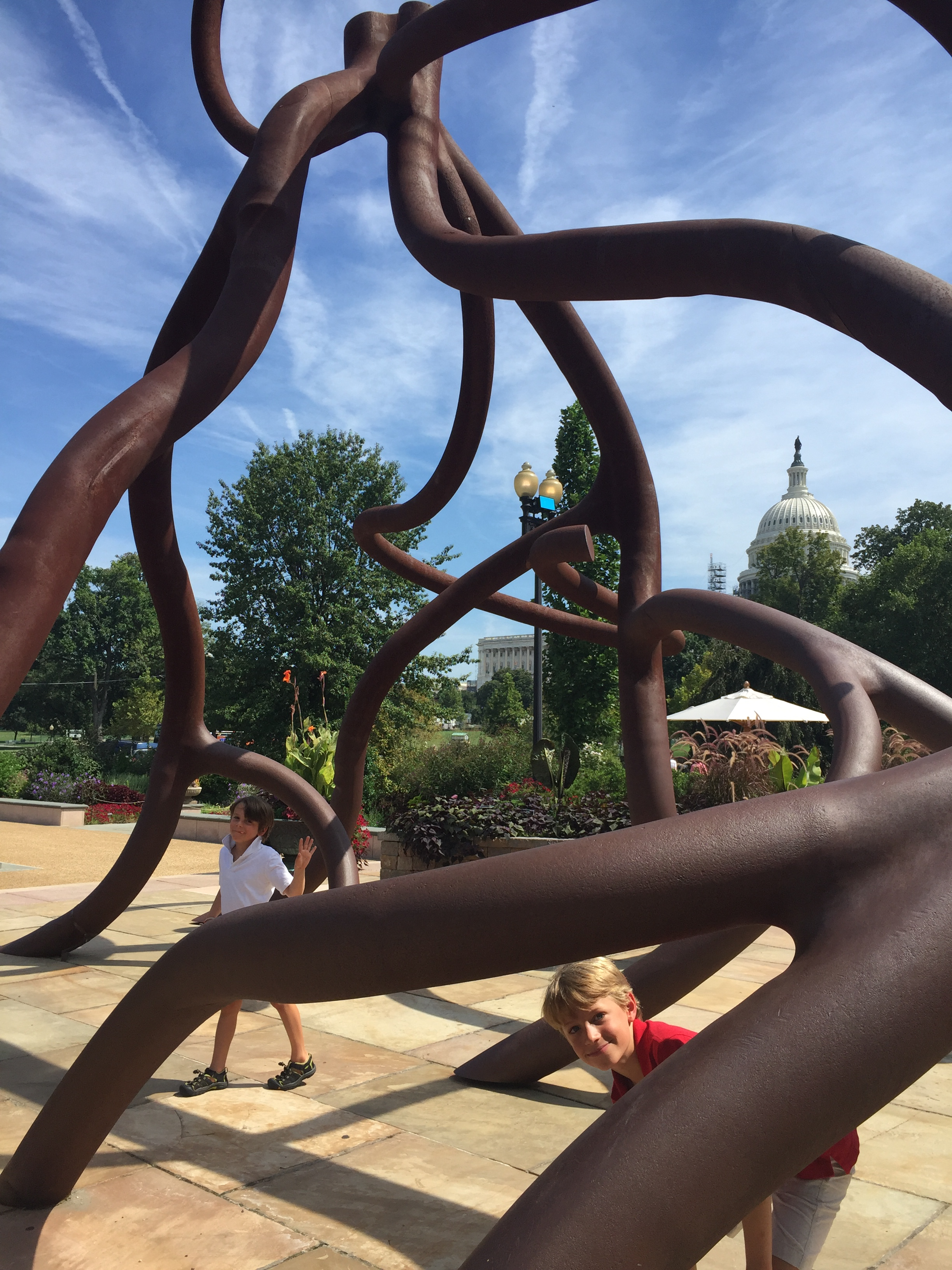the Root sculpture in front of the Botanic Garden. See the Capitol peeking out in the background?