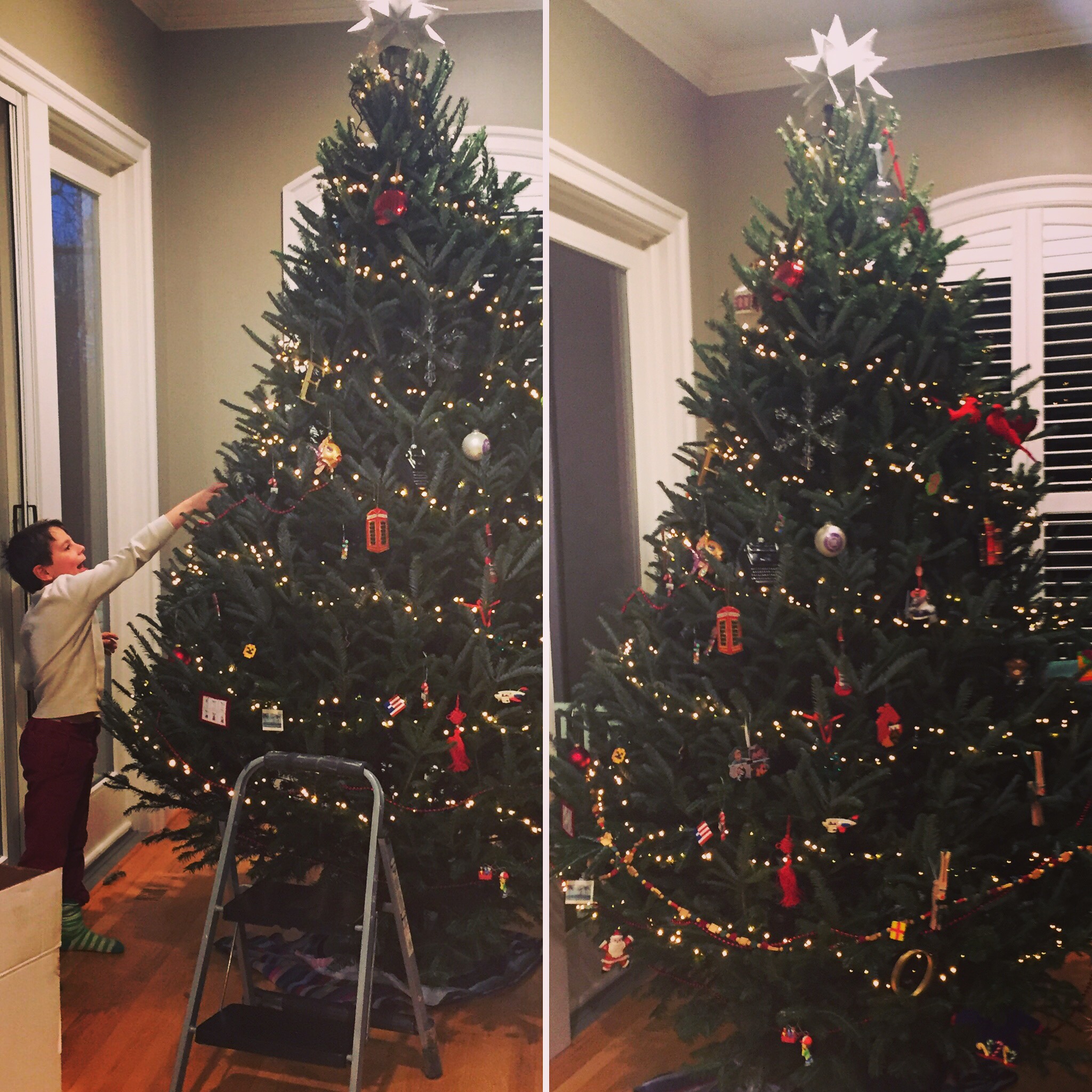 Decorating the tree is one of Oliver's favorite life activities. Here we are having just begun.
