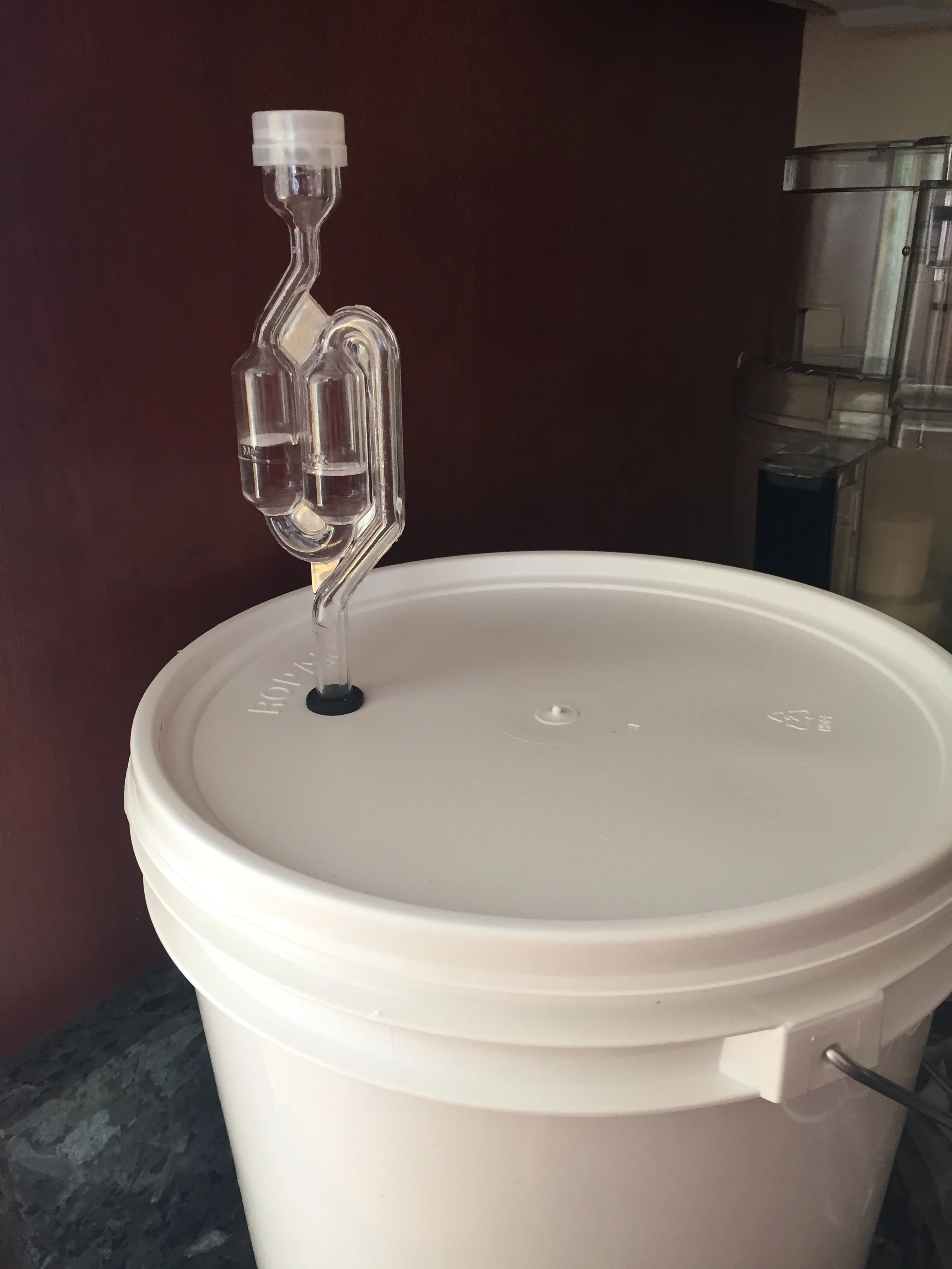 airlock nestled in the fermentation bucket's lid