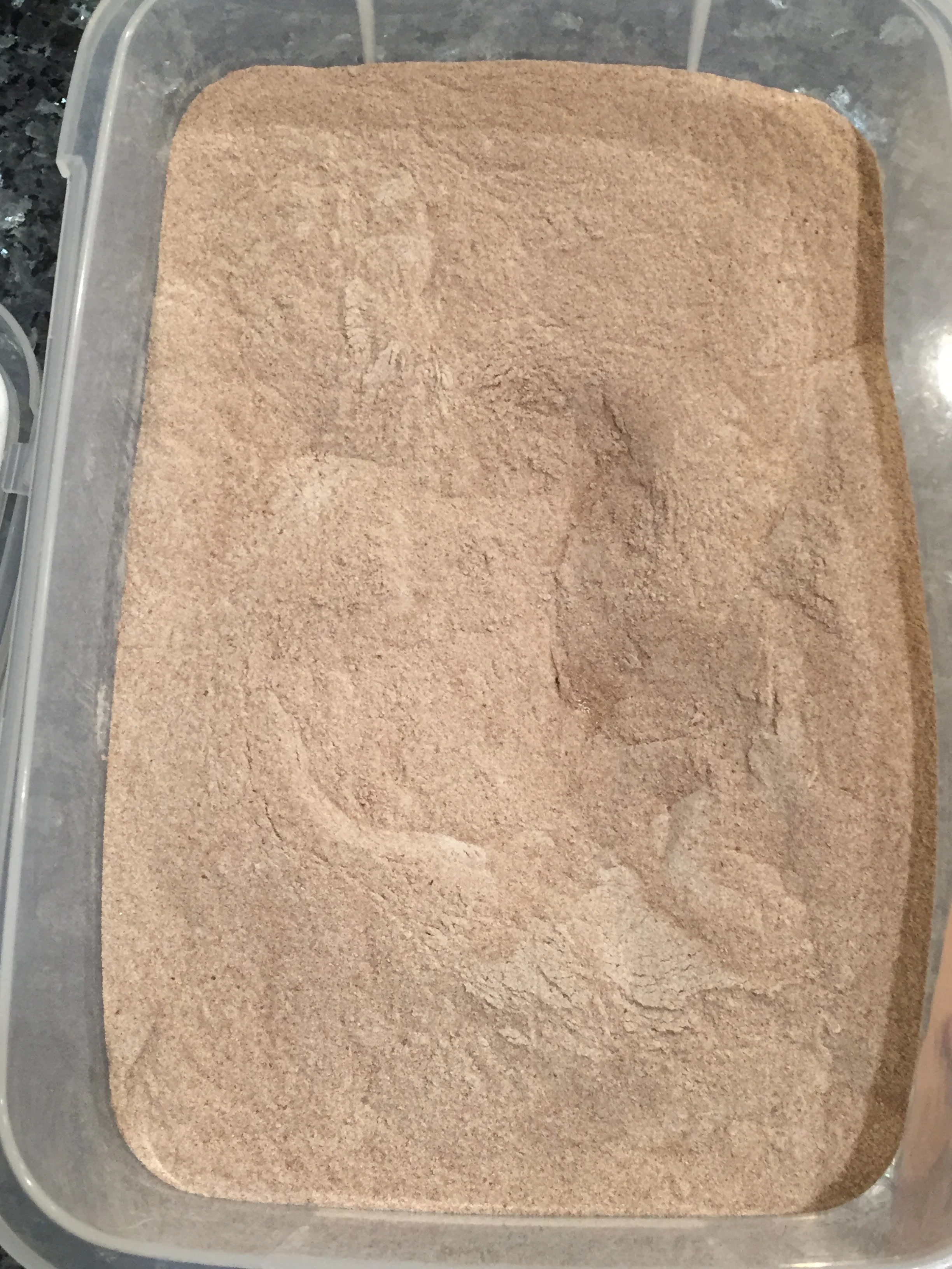 brown teff flour