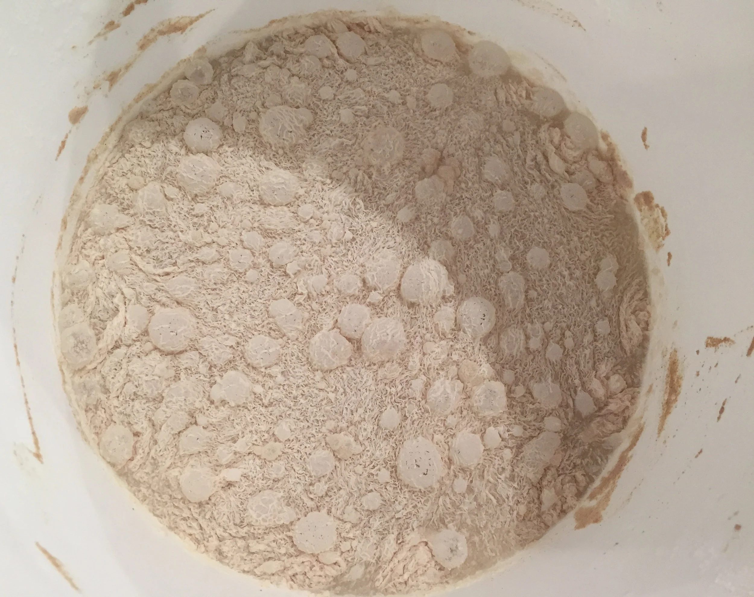 after 3 days of fermenting, the batter was actively bubbling!