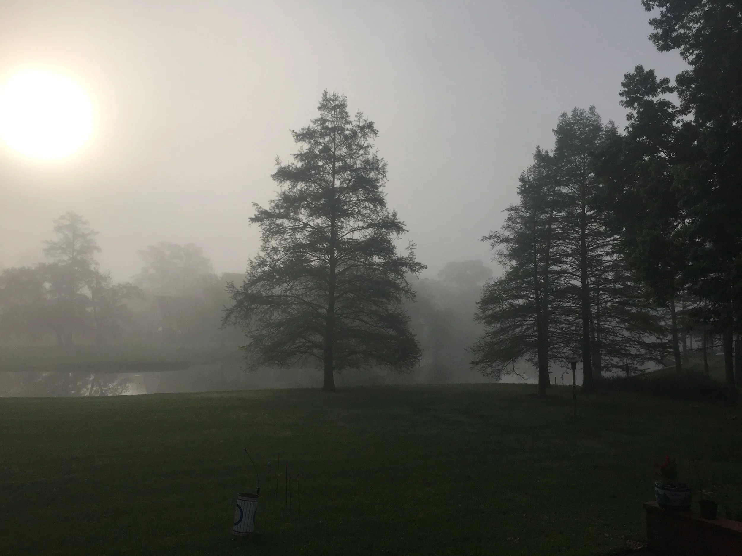 Early morning fog over the bayou