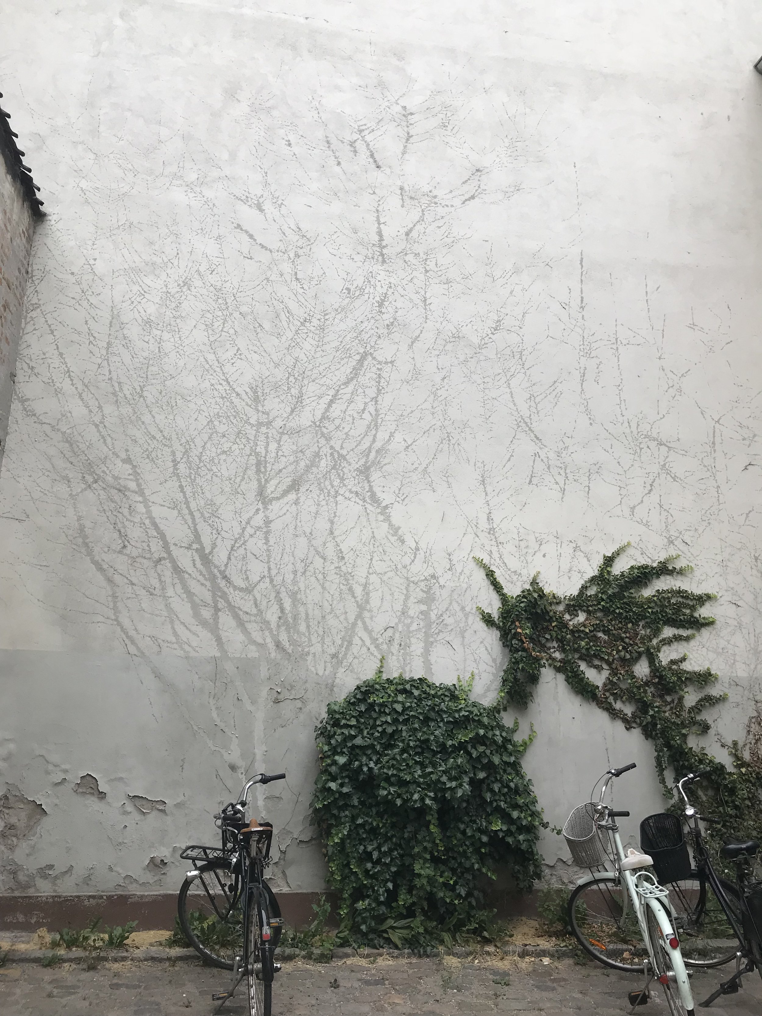 On a wall outside the Danish Design Museum: what remains after some of the ivy was stripped from the wall. I just love this.