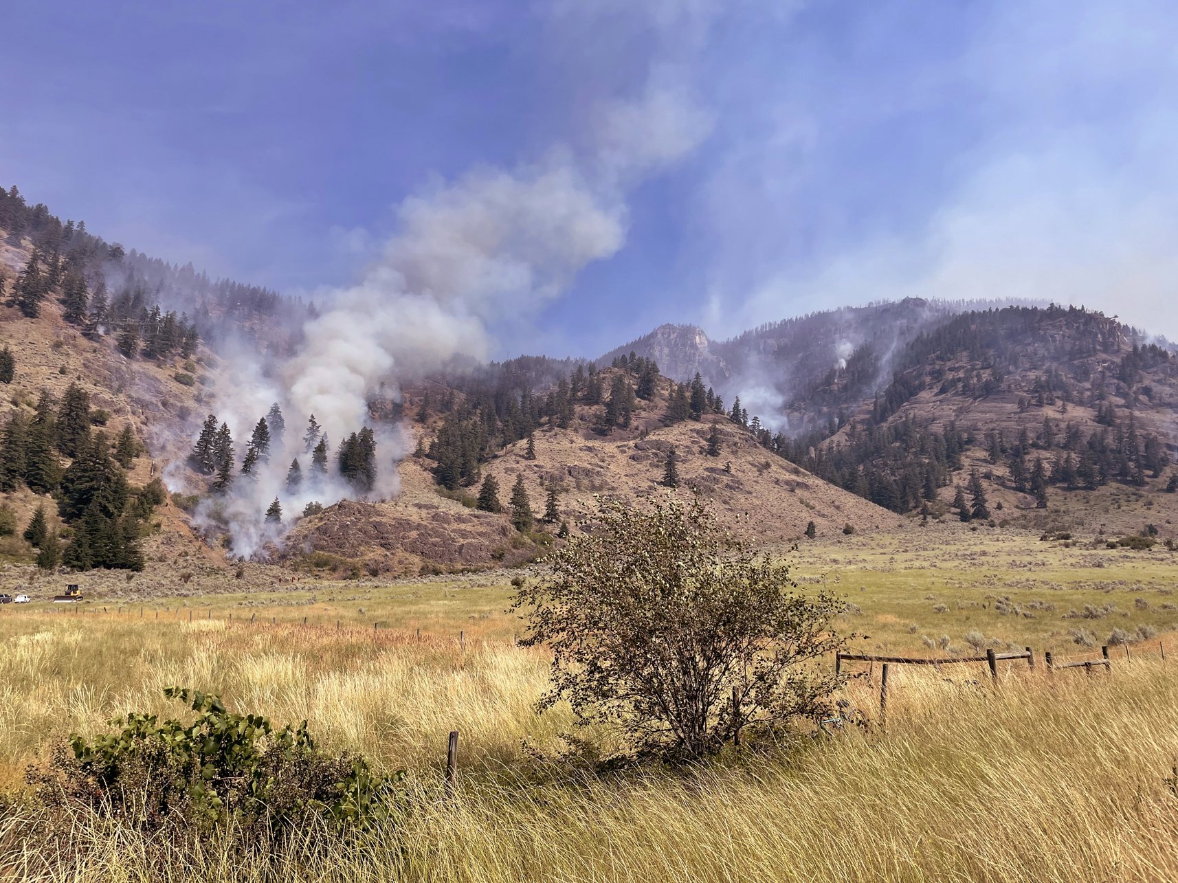 wildfire, 2022