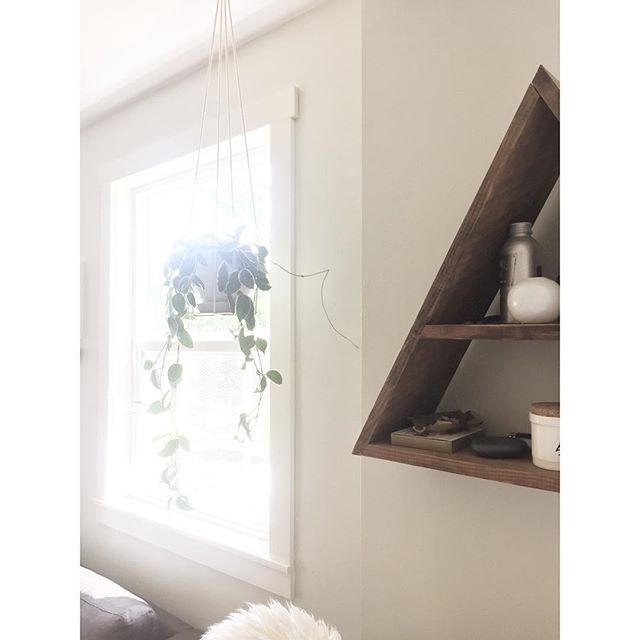 Plant Hangers, like your dads old macrame hangers but with a new spin, available at our pop up this Memorial Day weekend #weldpopup