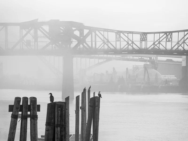 Foggy Broadway Bridge