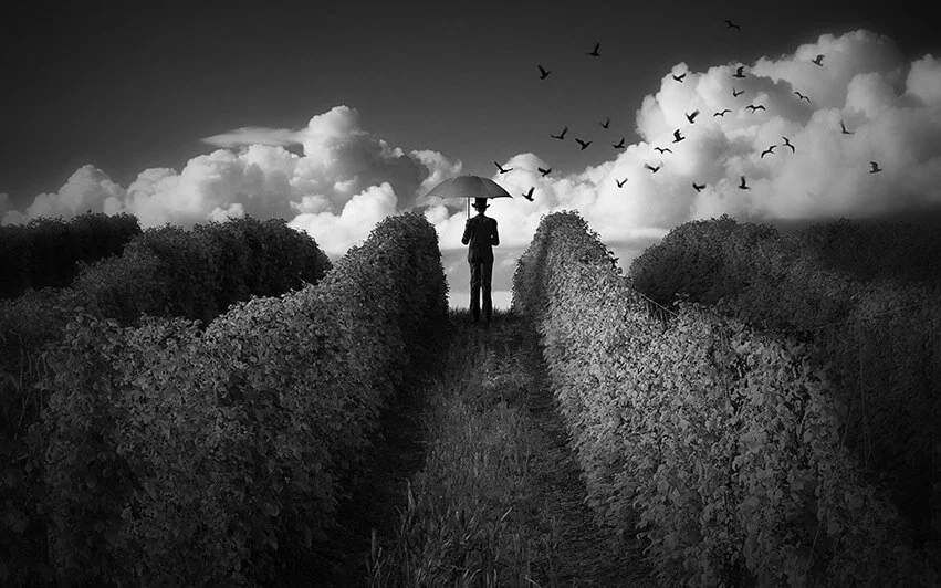 Waiting for Storms Photo.jpg