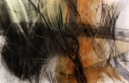 Symbiosis 16 2010, charcoal, Alabama soil pigment, hide glue on paper 21" x 51"