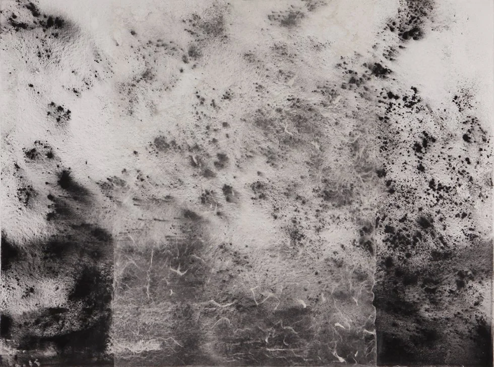 Kruger006, Inland-Outland 1, 2011-72dpi.jpg